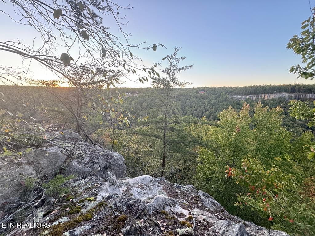 248014_1 - 0 Panther Falls Rd, Wilder, TN 38589