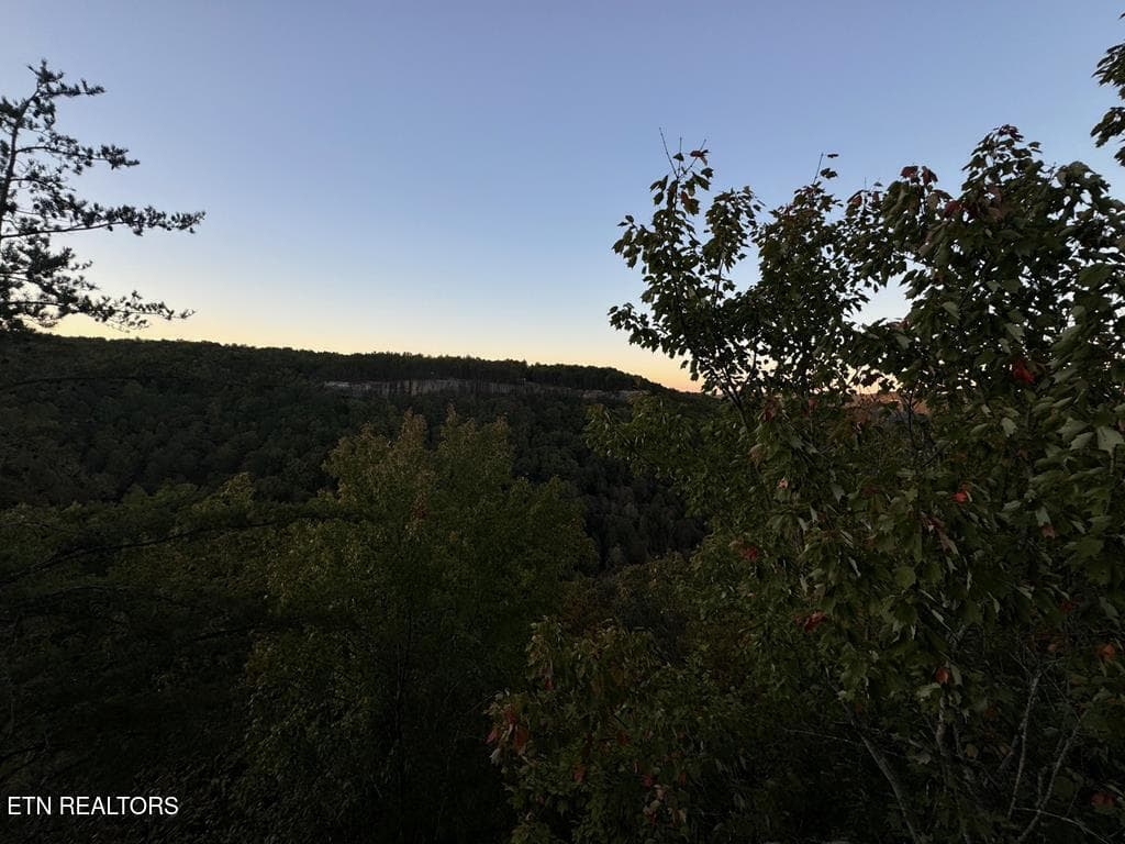 248014_2 - 0 Panther Falls Rd, Wilder, TN 38589