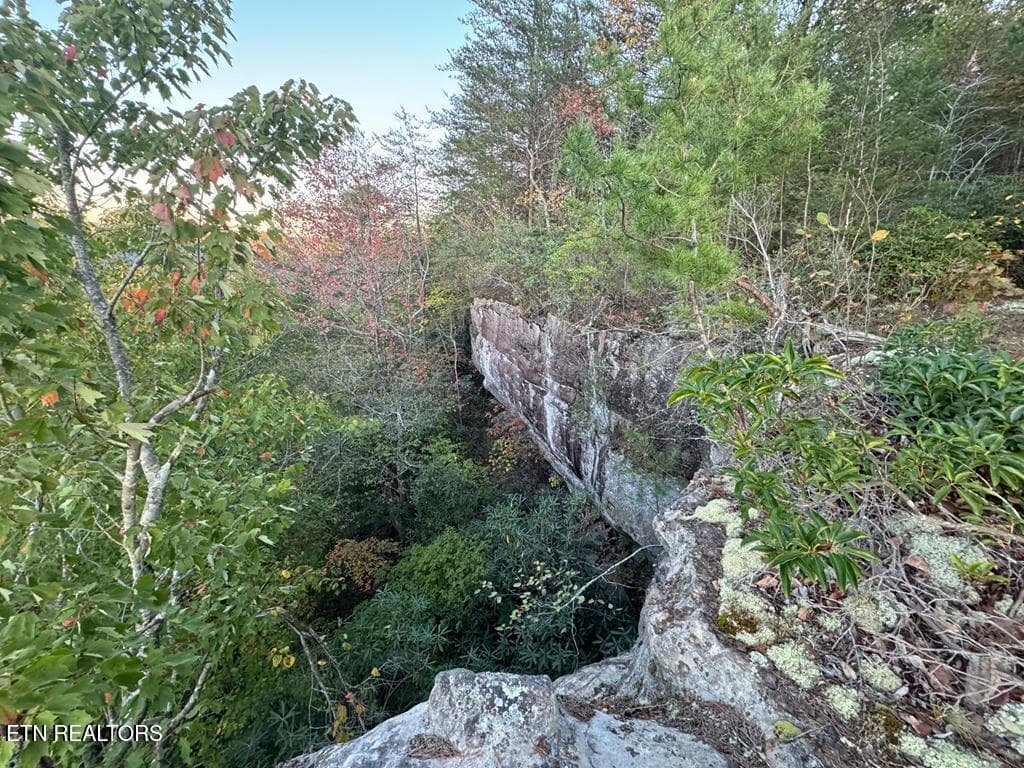 248014_3 - 0 Panther Falls Rd, Wilder, TN 38589