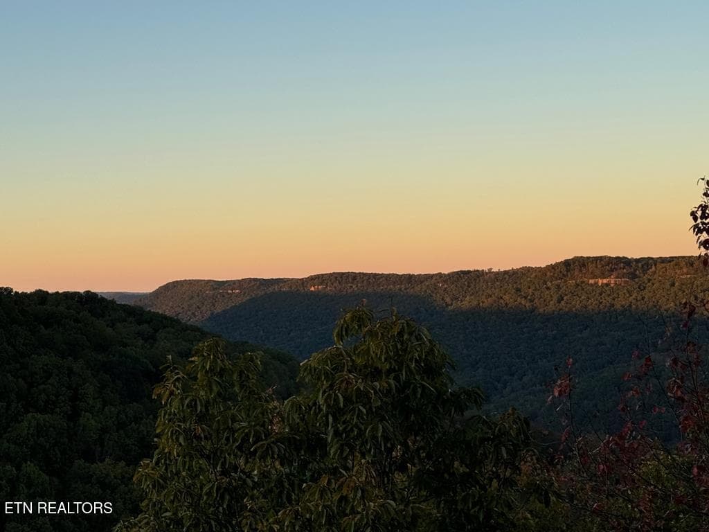 248014_4 - 0 Panther Falls Rd, Wilder, TN 38589