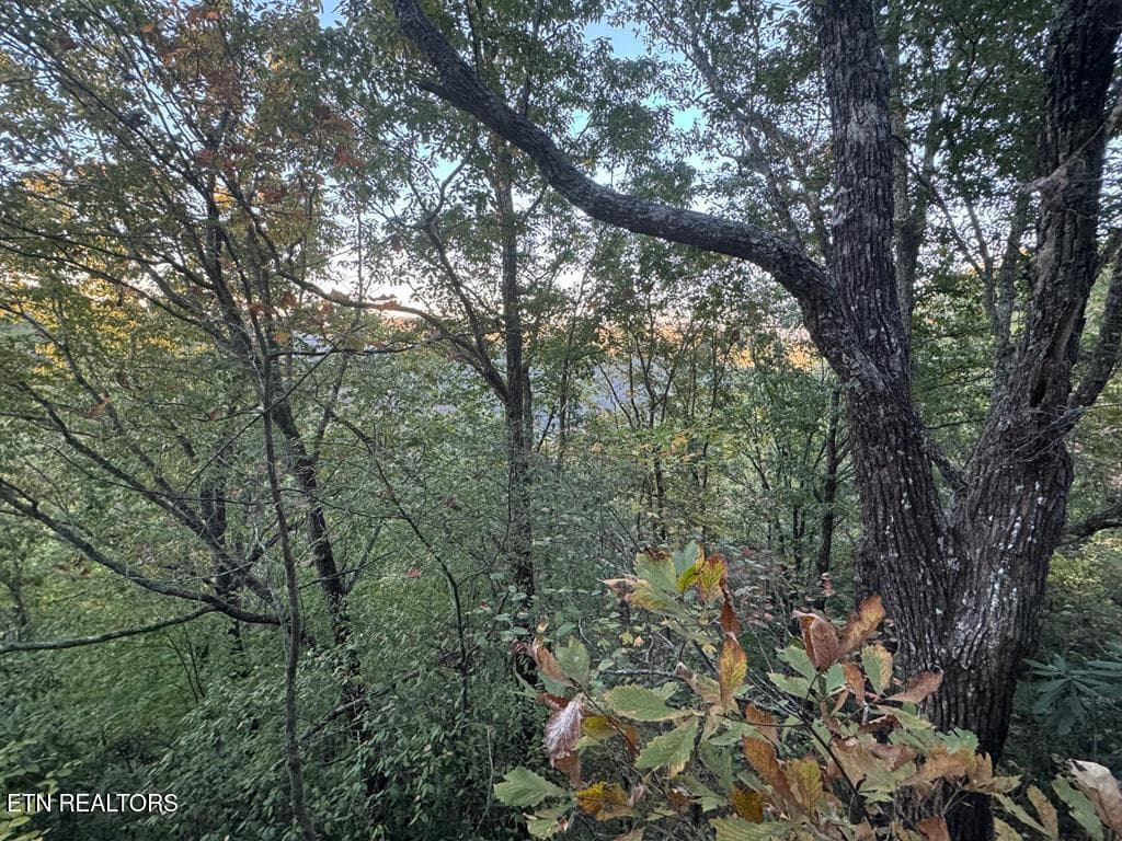 248014_6 - 0 Panther Falls Rd, Wilder, TN 38589