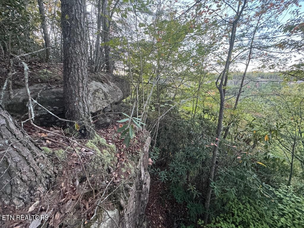 248014_7 - 0 Panther Falls Rd, Wilder, TN 38589