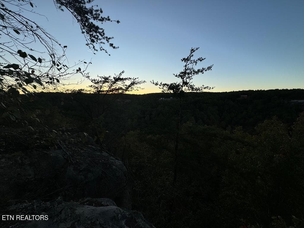 248014_8 - 0 Panther Falls Rd, Wilder, TN 38589