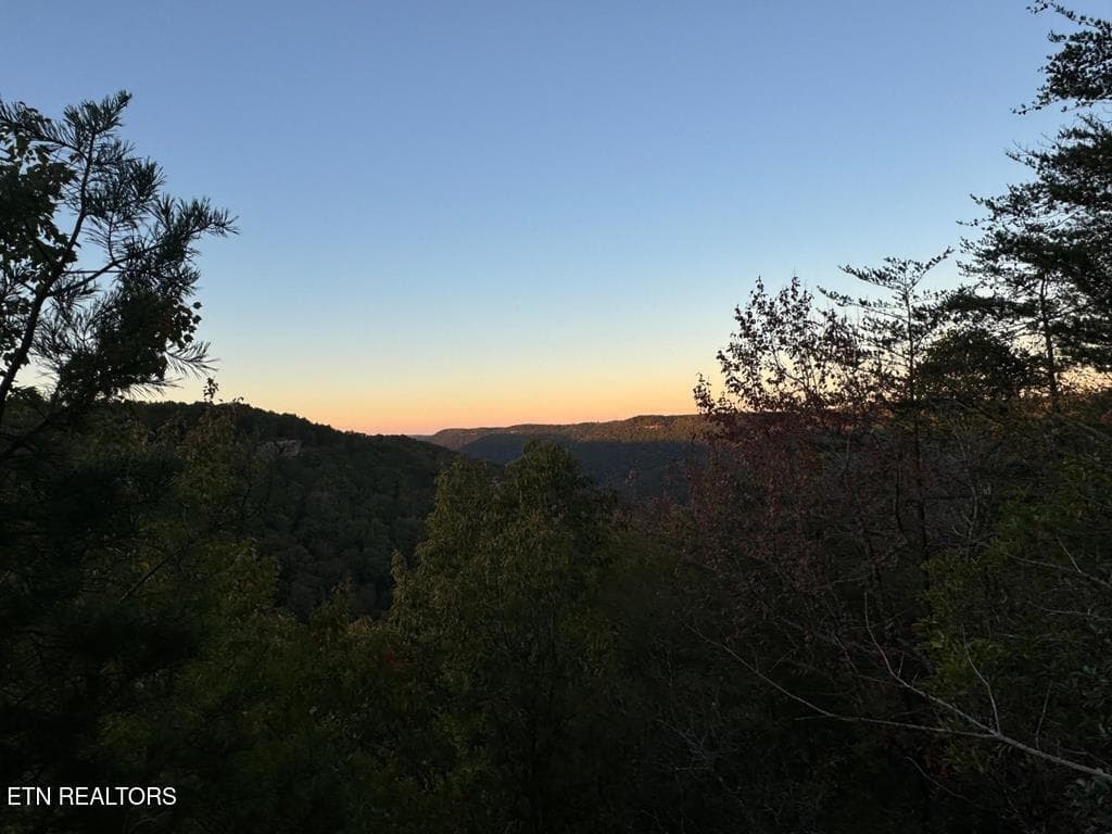 248014_9 - 0 Panther Falls Rd, Wilder, TN 38589