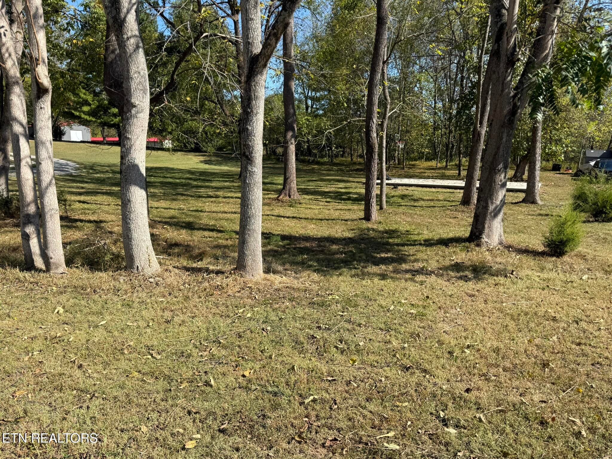 IMG_1500 - Lot 191 Lakeview Drive, Byrdstown, TN 38549