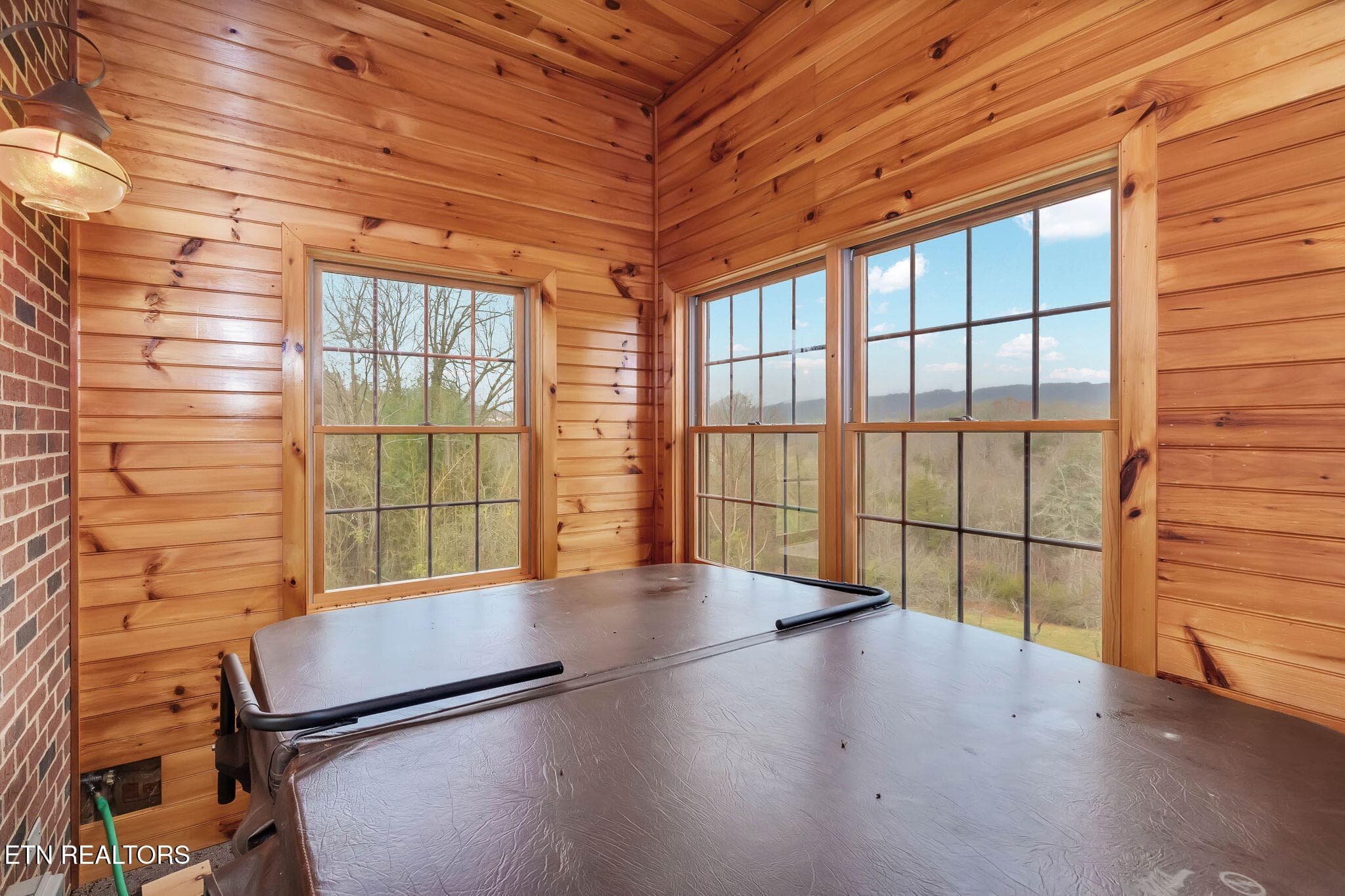18-web-or-mls-1185 Woolsey Rd-18 - 1185 Woolsey Rd, Greeneville, TN 37745
