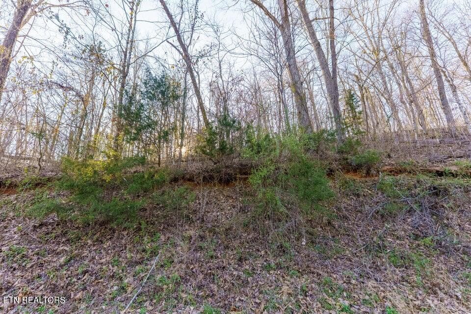 20250327180739884873000000-o - Douglas Dam Rd, Sevierville, TN 37876