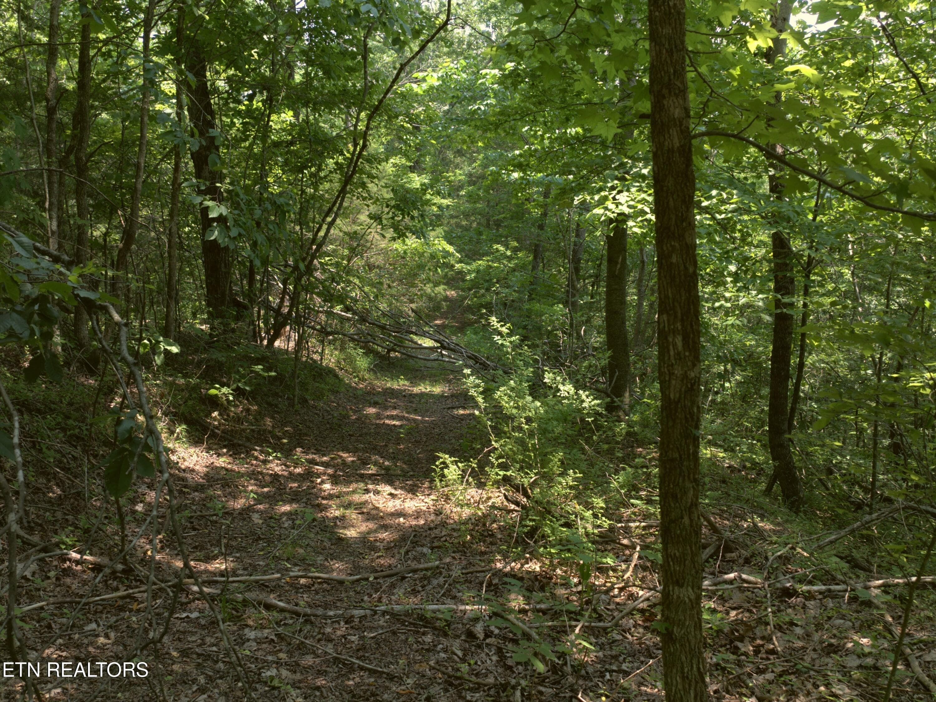 02_Trail_through_the_woods - Lot 4 & 7 Weber Lane Lane, Celina, TN 38551