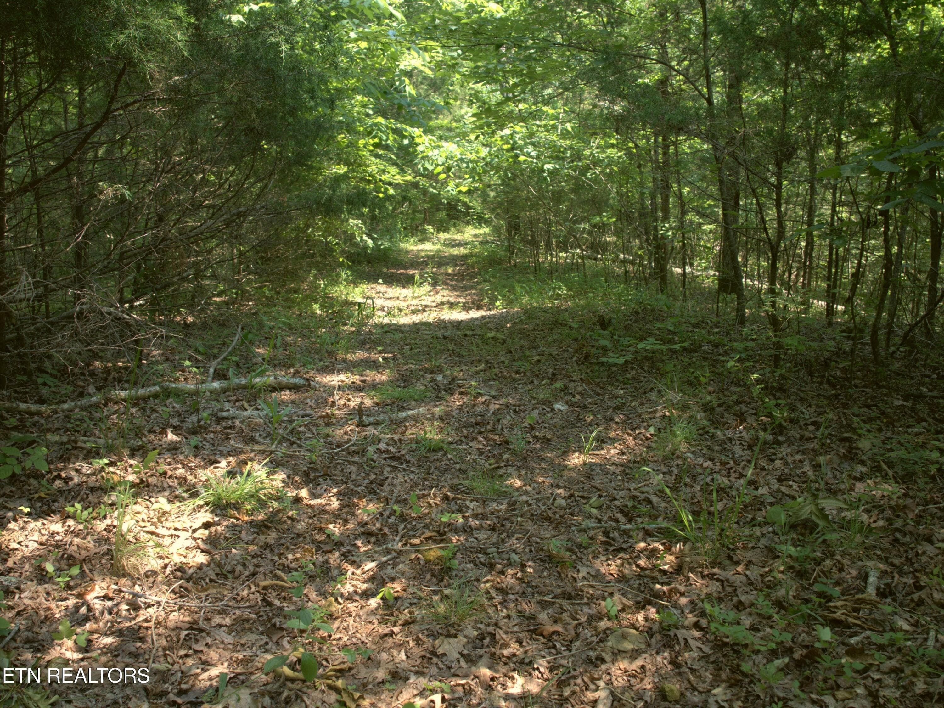 04_Trail_system - Lot 4 & 7 Weber Lane Lane, Celina, TN 38551