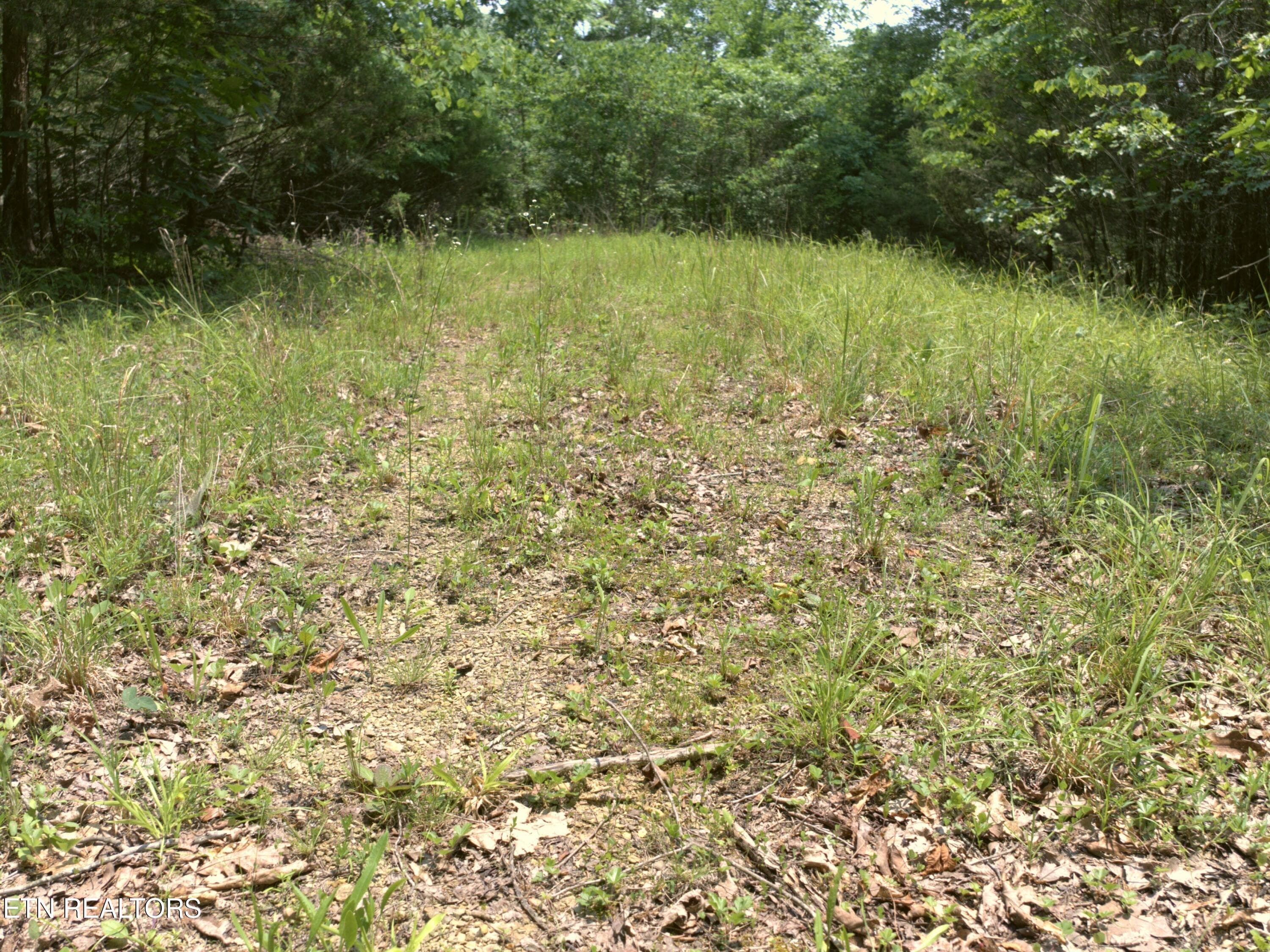 05_Flat_cleared_spot - Lot 4 & 7 Weber Lane Lane, Celina, TN 38551
