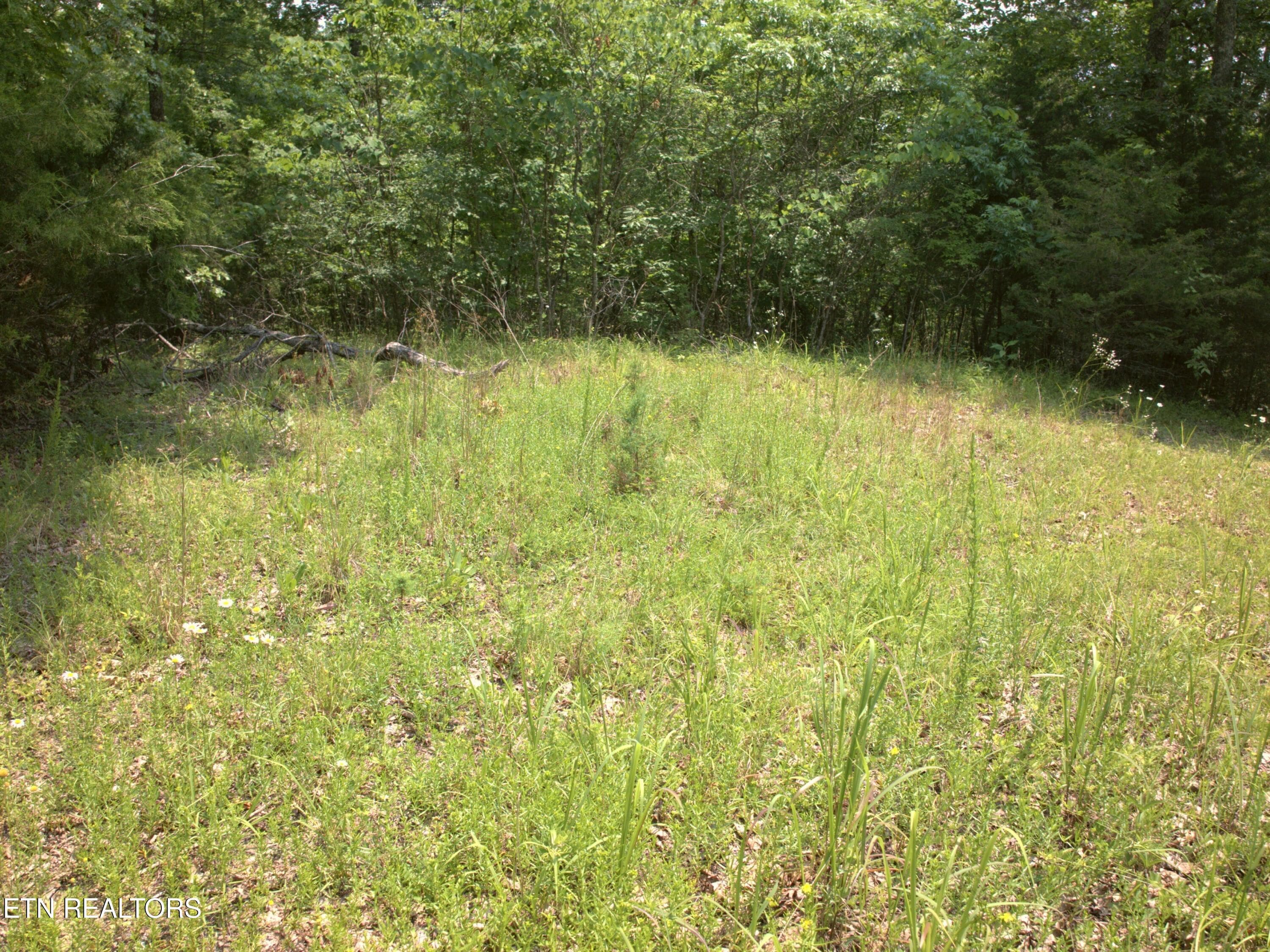 07_Grassy_cleared_spot - Lot 4 & 7 Weber Lane Lane, Celina, TN 38551