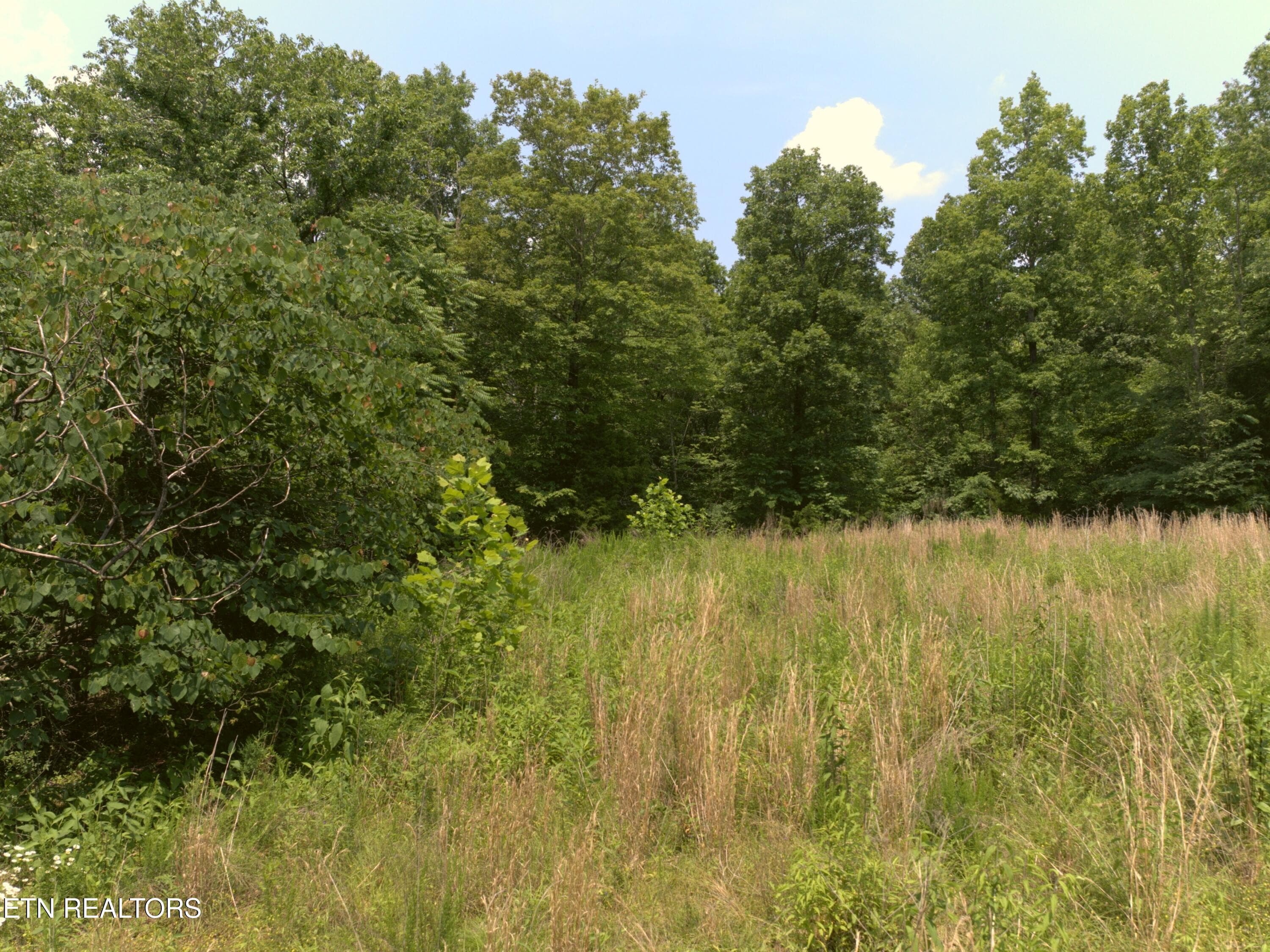 08_Open_grassy_area - Lot 4 & 7 Weber Lane Lane, Celina, TN 38551