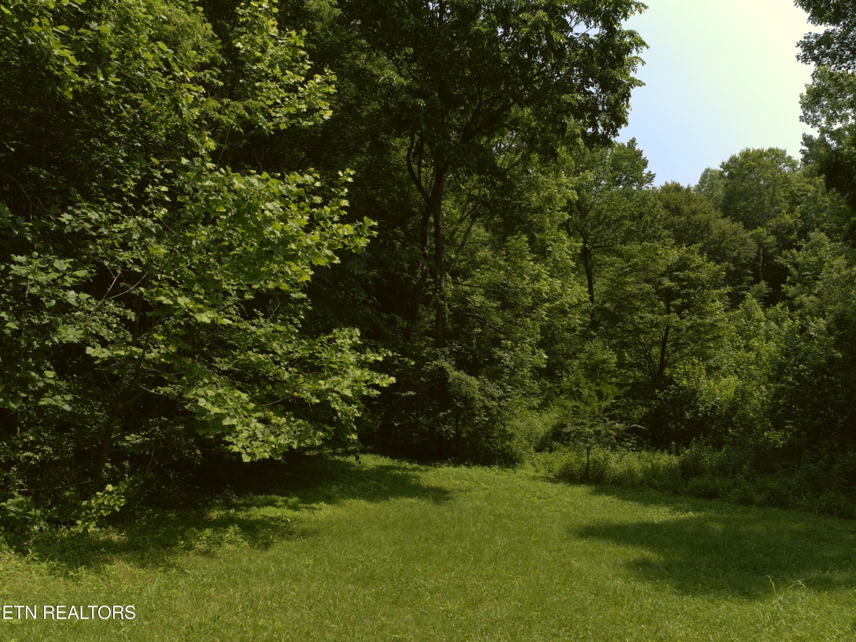 10_Mowed_clearing_at_trail_entrance - Lot 4 & 7 Weber Lane Lane, Celina, TN 38551