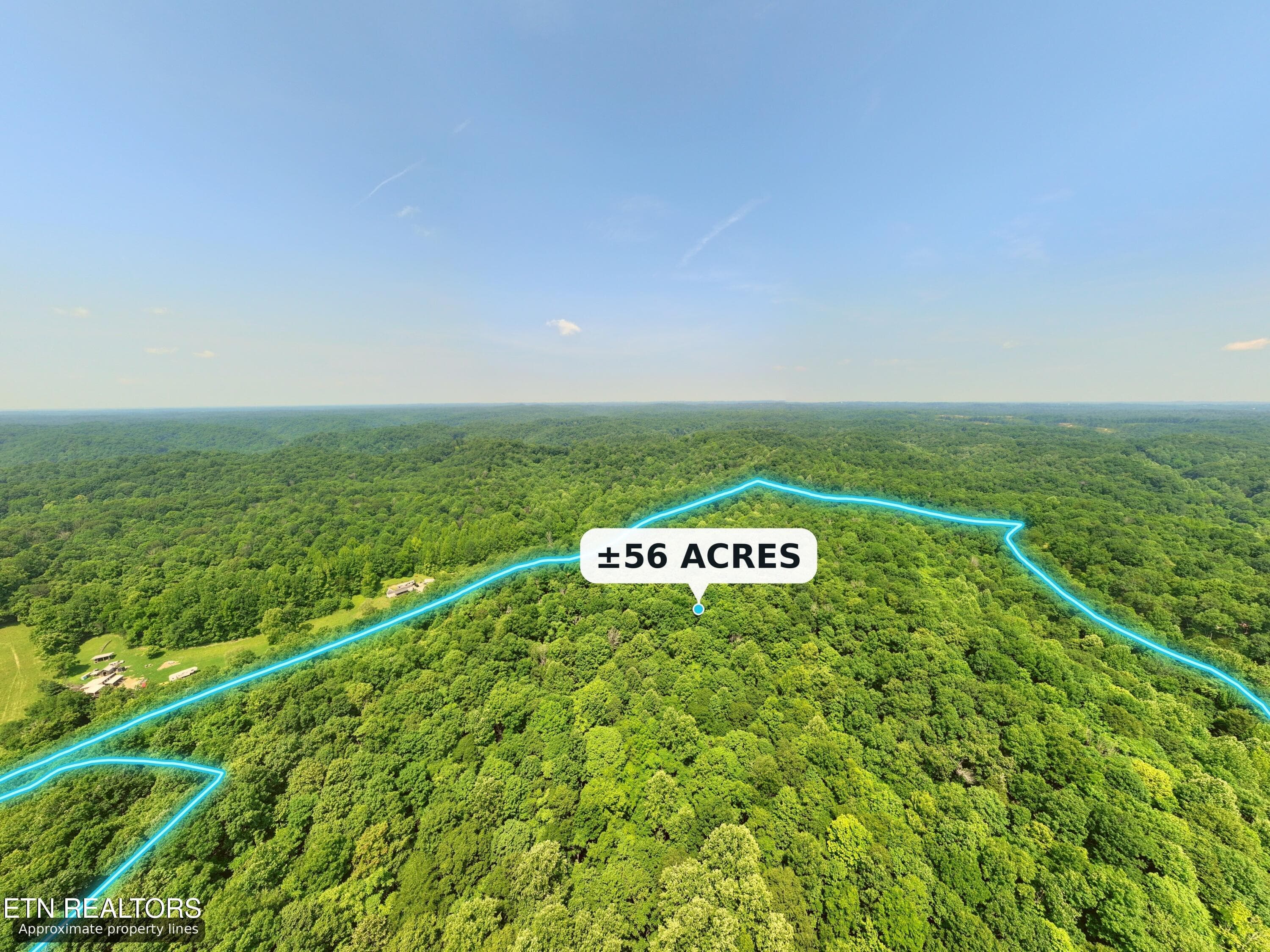 25_Aerial_wooded_acreage - Lot 4 & 7 Weber Lane Lane, Celina, TN 38551