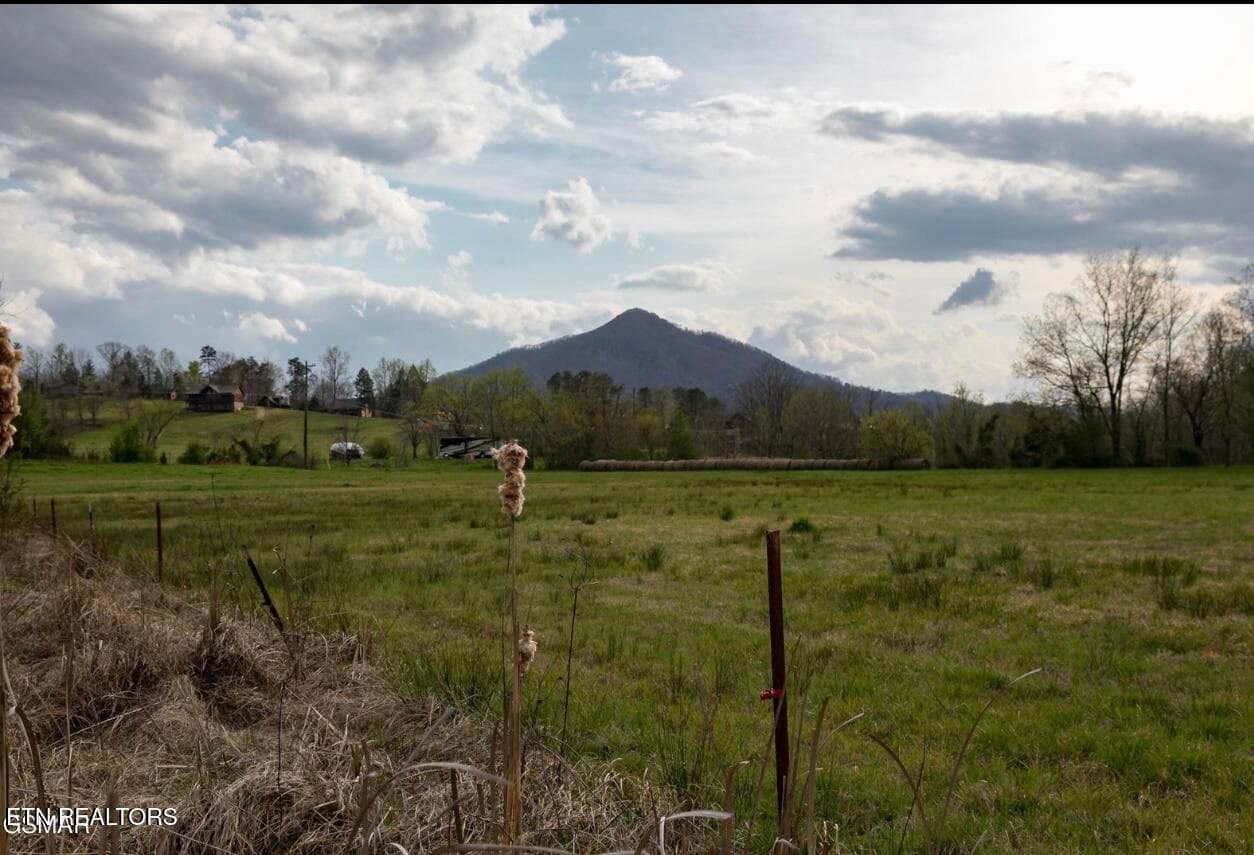IMG_7494 - Lot B Tarwater Lane, Sevierville, TN 37862