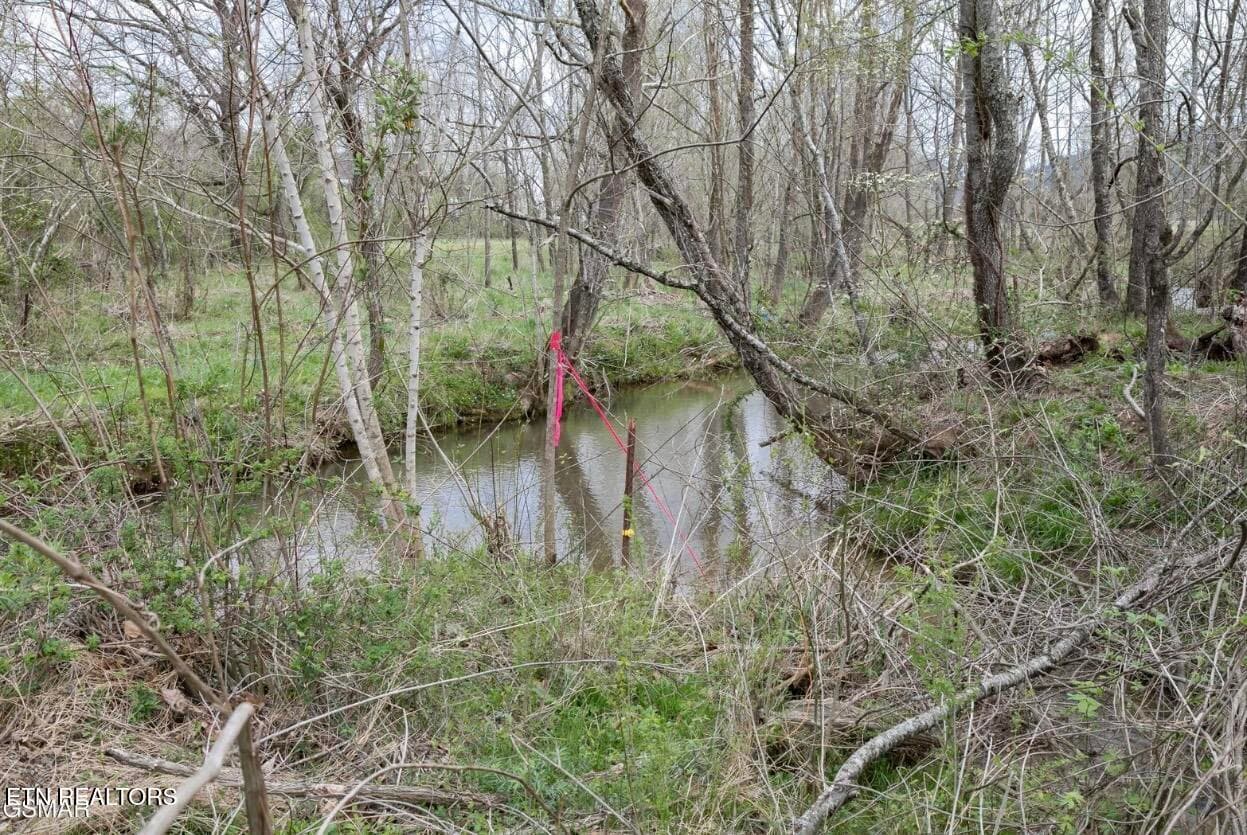 IMG_7488 - Lot B Tarwater Lane, Sevierville, TN 37862