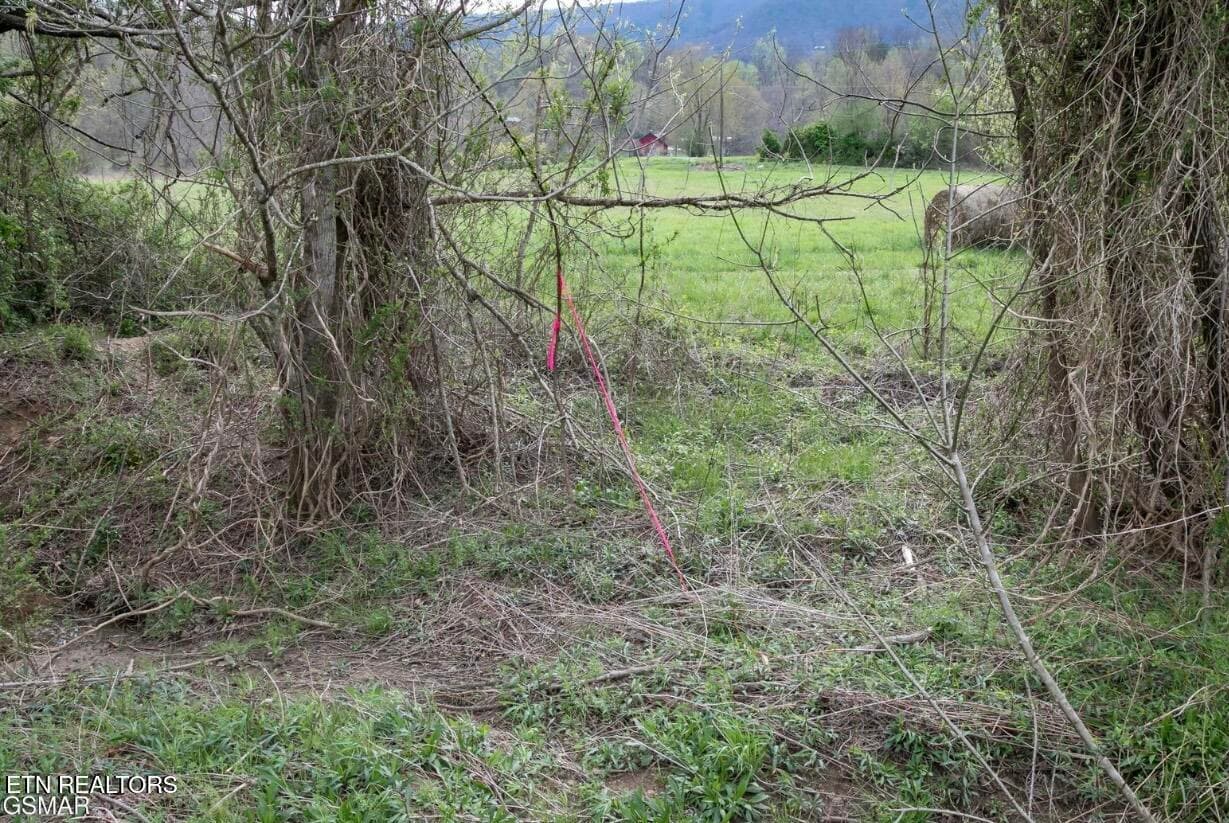IMG_7487 - Lot B Tarwater Lane, Sevierville, TN 37862
