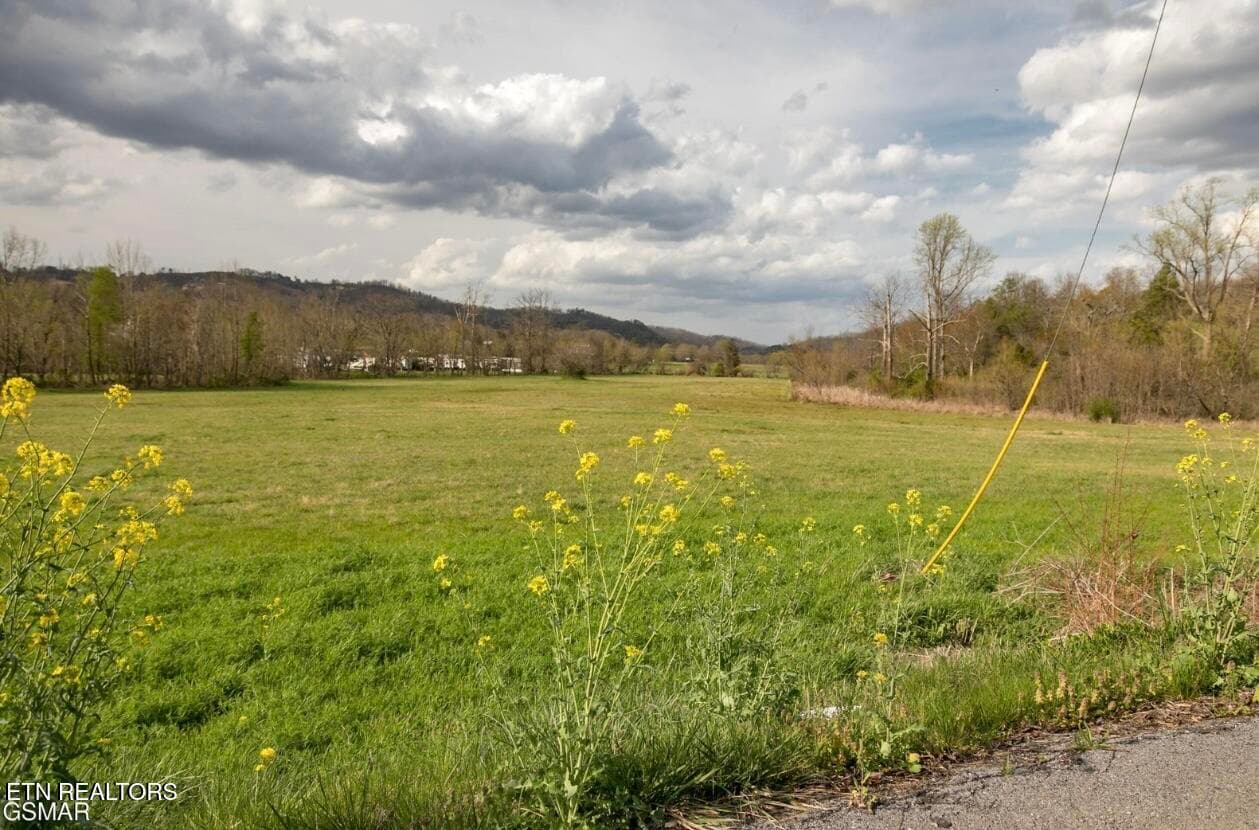 IMG_7482 - Lot B Tarwater Lane, Sevierville, TN 37862