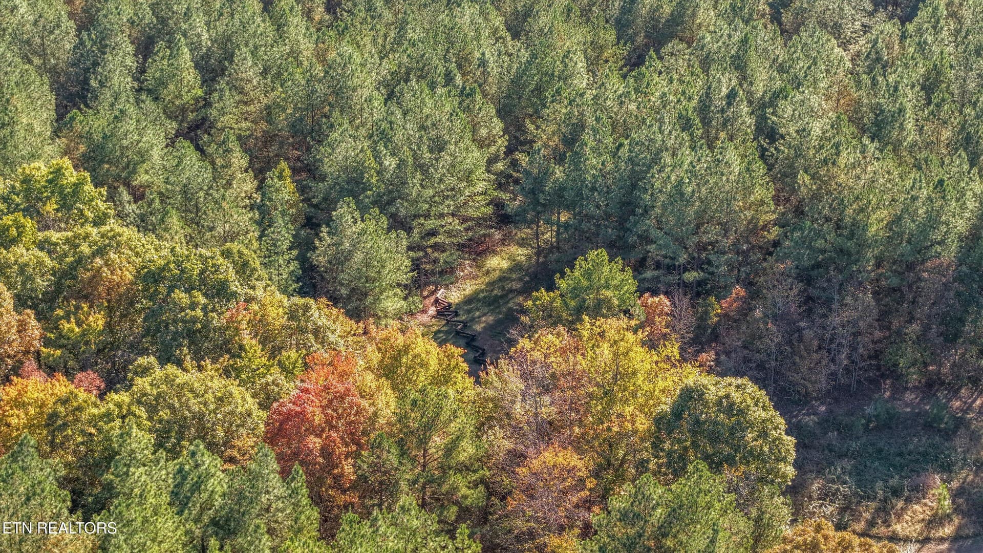 Wooded Trails and Natural Terrain - 9438-0 Morgan County Hwy, Sunbright, TN 37872