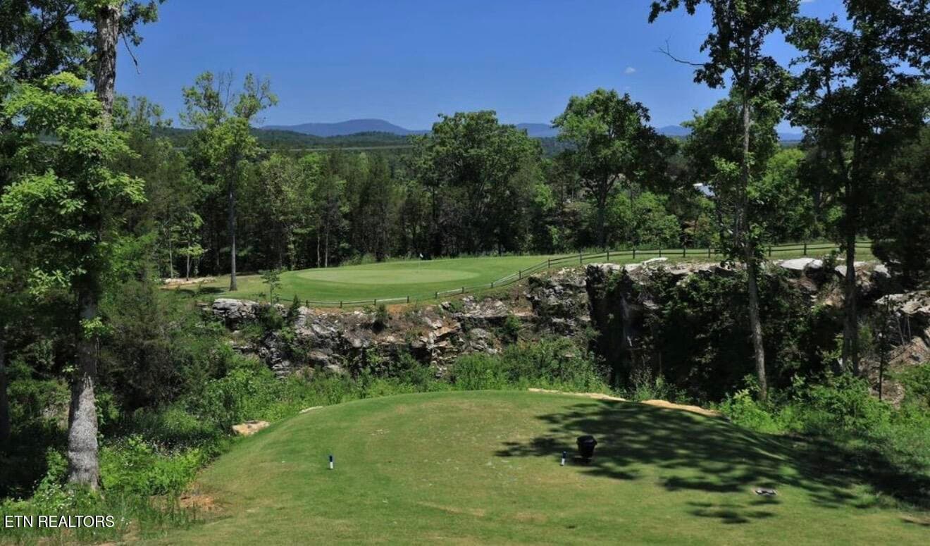 IMG_3167 - 204 Roseberry St Lot140B, Oak Ridge, TN 37830