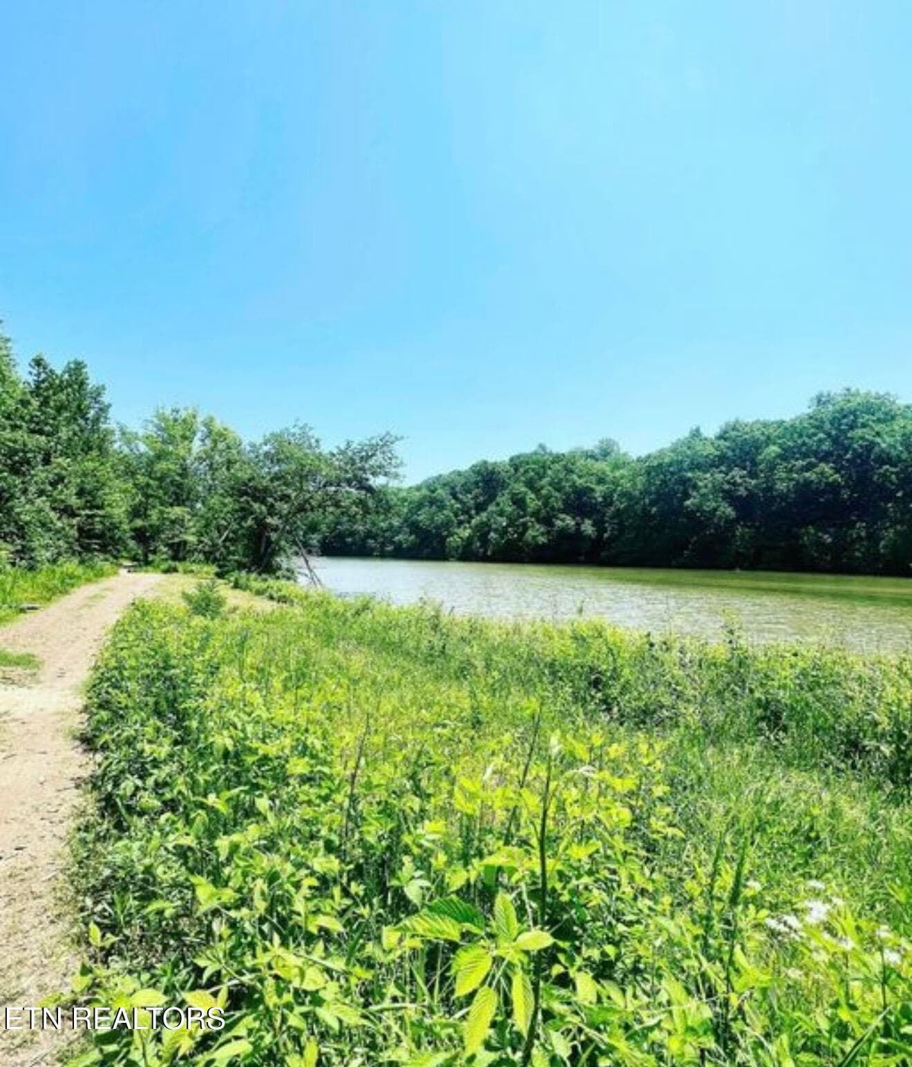 IMG_3170 - 204 Roseberry St Lot140B, Oak Ridge, TN 37830