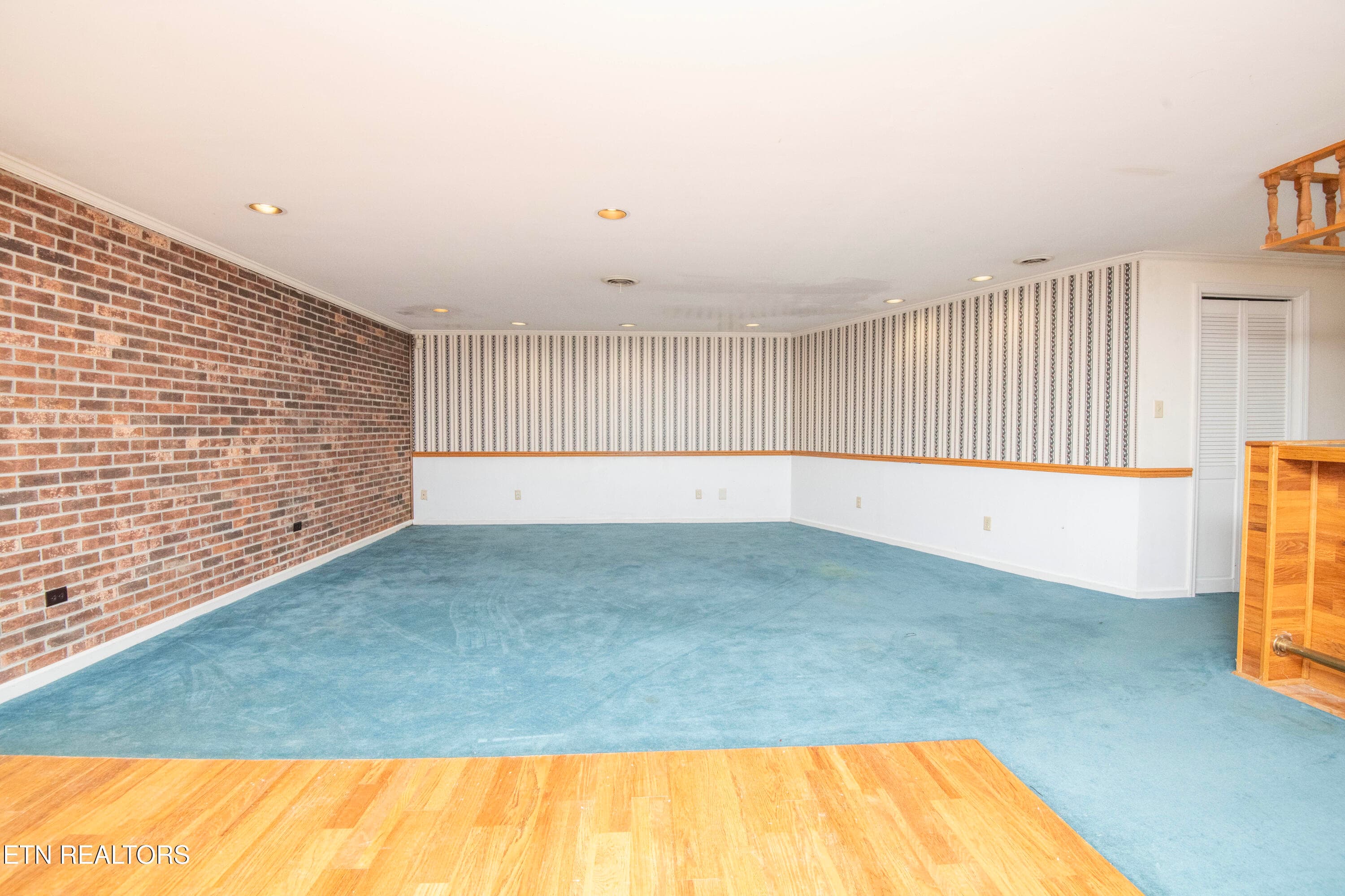 basement - 106 Circle Drive, Harriman, TN 37748