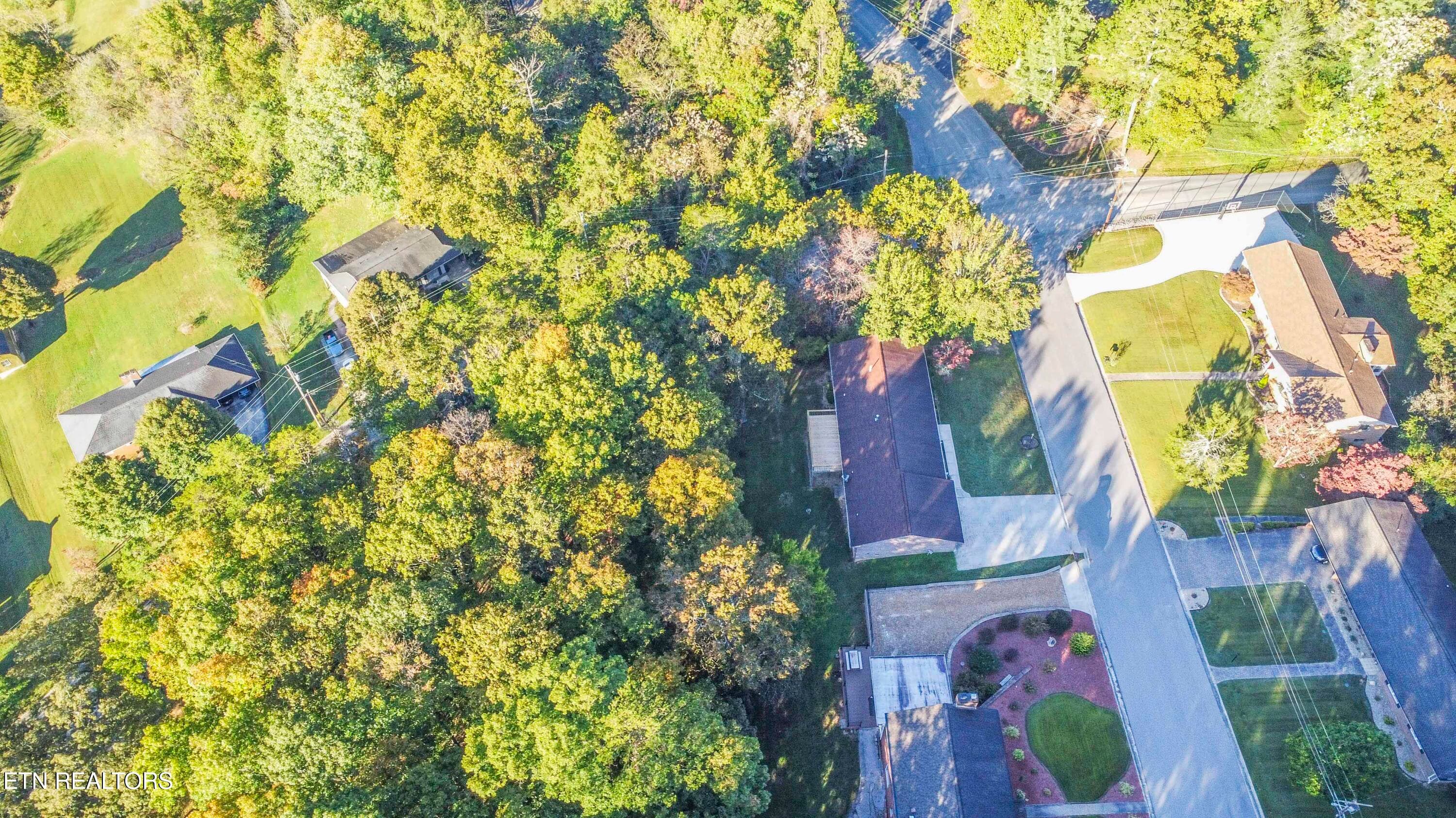 drone 4_1 - 106 Circle Drive, Harriman, TN 37748