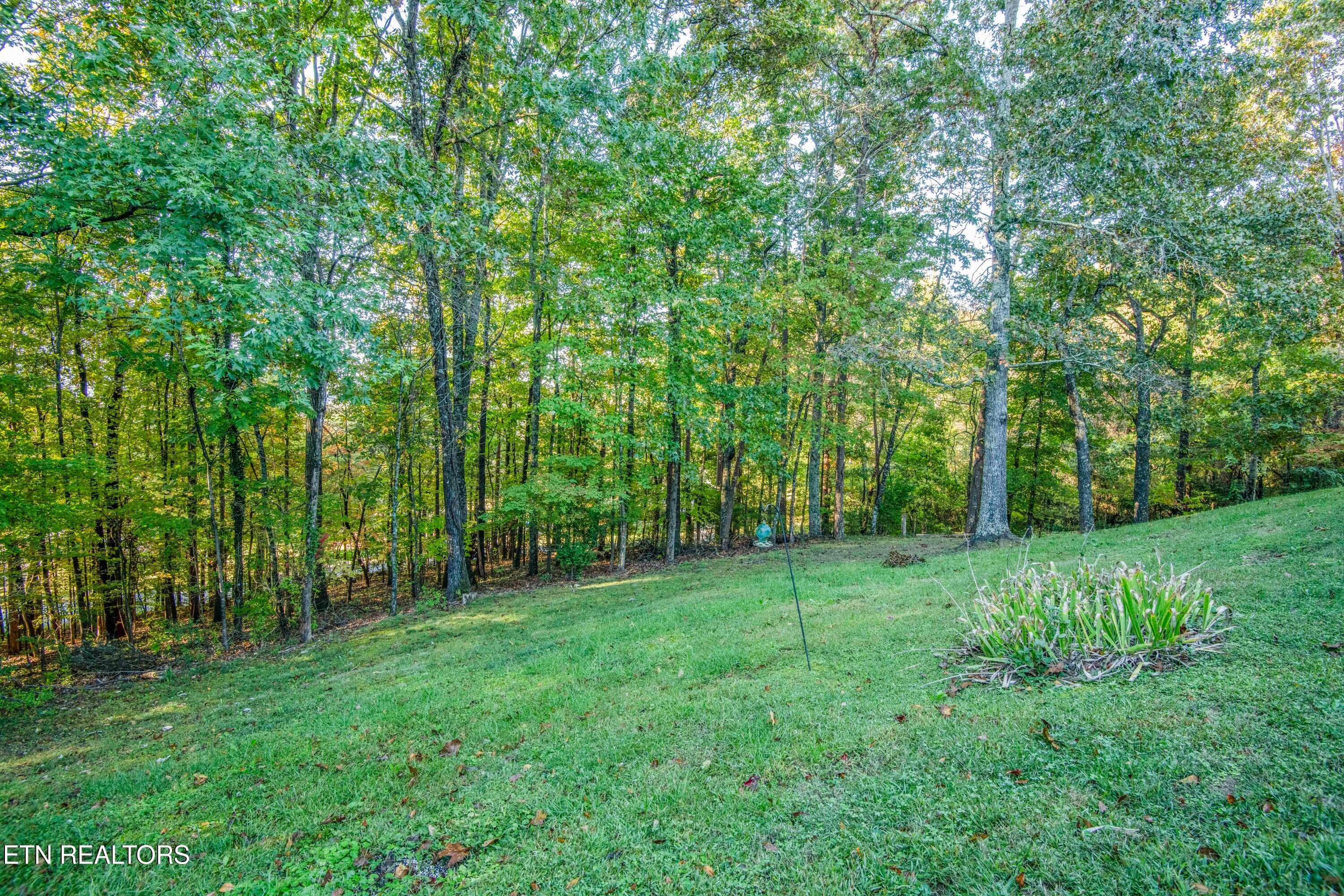 yard_1 - 106 Circle Drive, Harriman, TN 37748