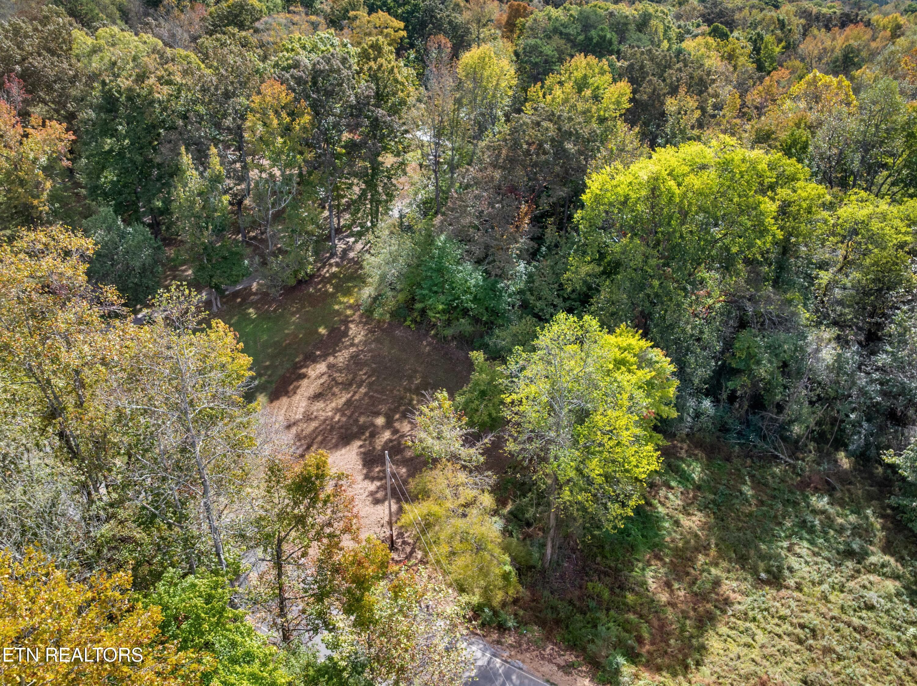 DJI_0894 - 668 Pleasant Hill Rd, Ten Mile, TN 37880