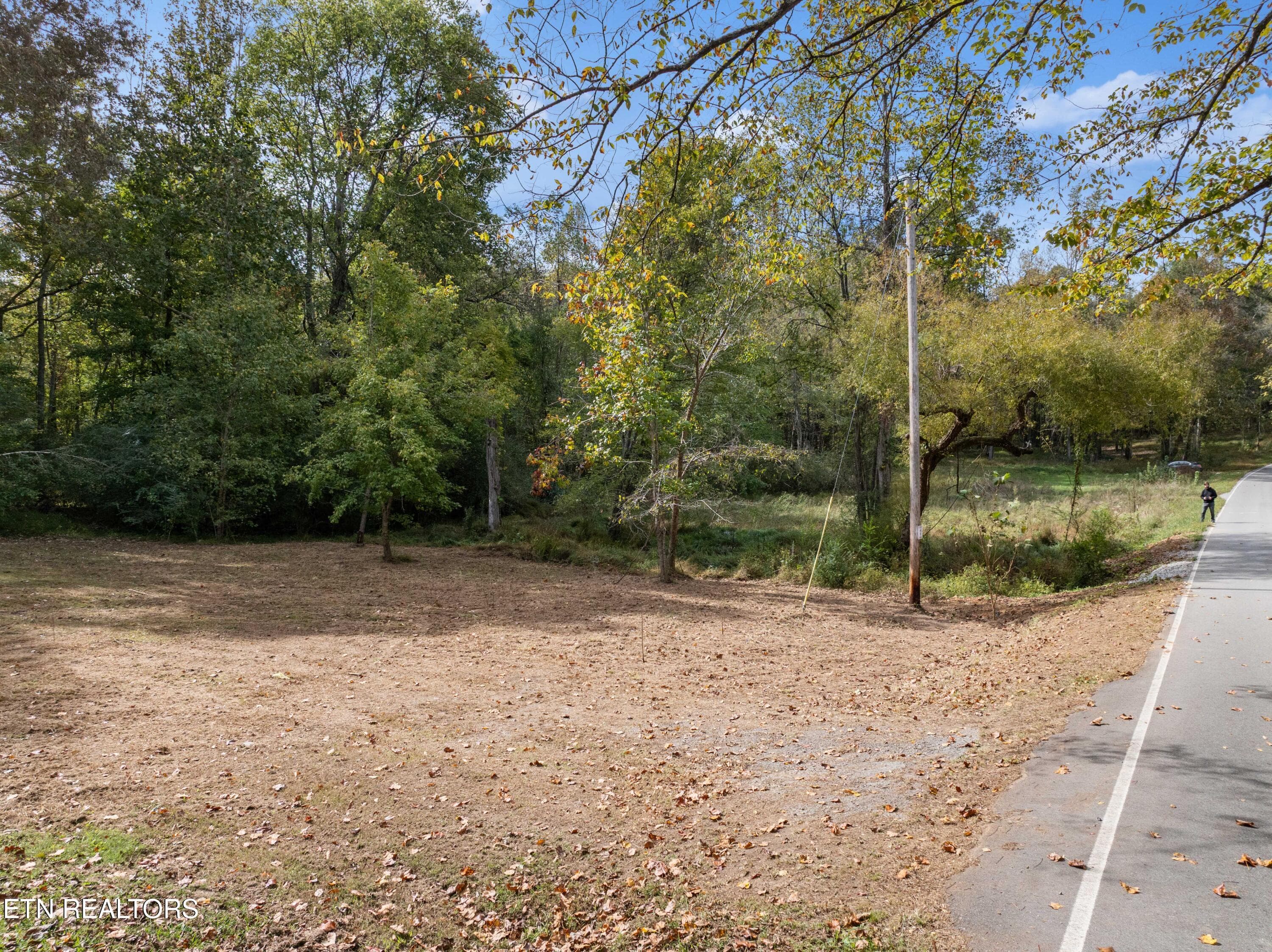 DJI_0941 - 668 Pleasant Hill Rd, Ten Mile, TN 37880