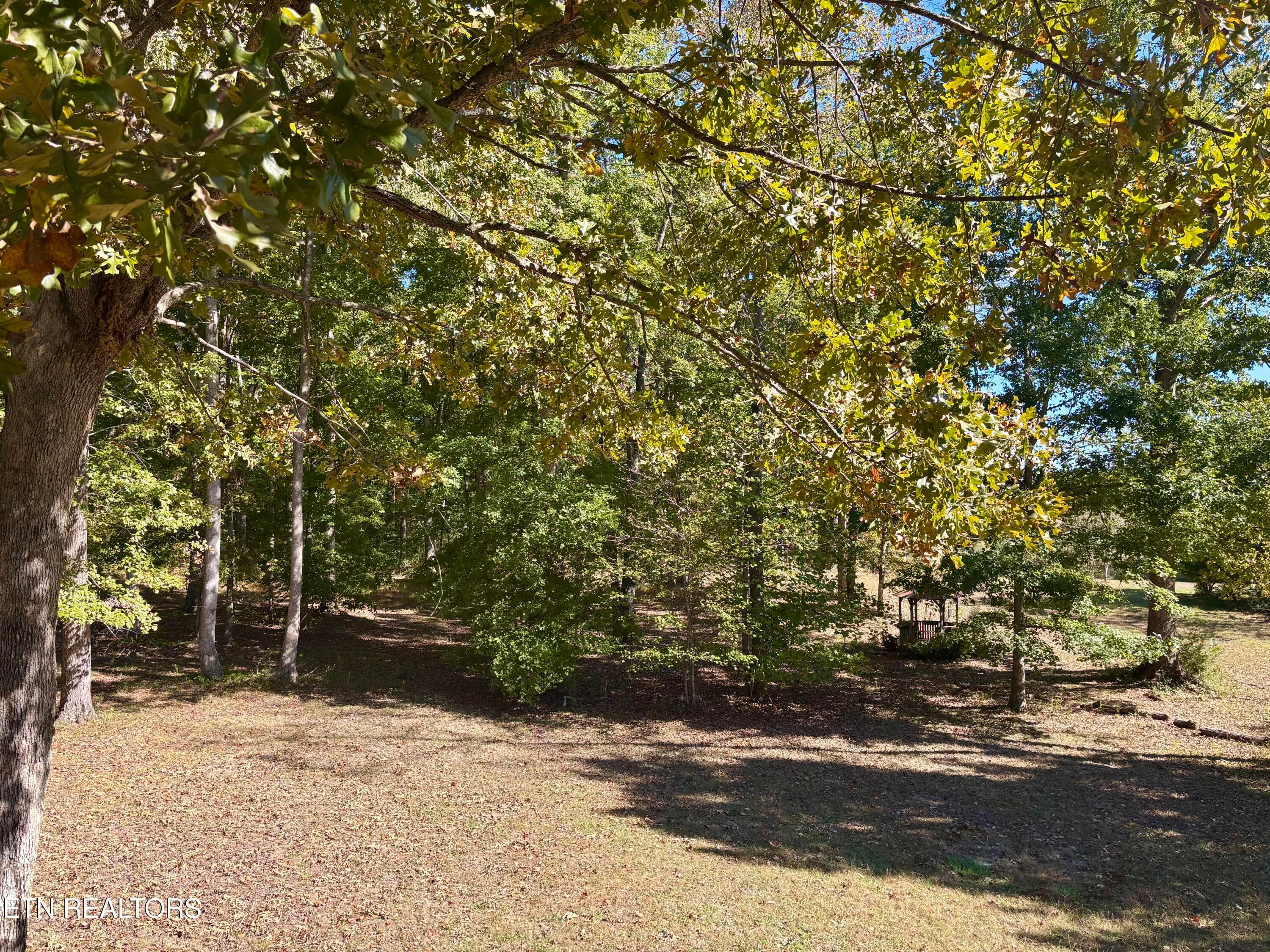 IMG_1760 - 288 Co Rd 158, Riceville, TN 37370