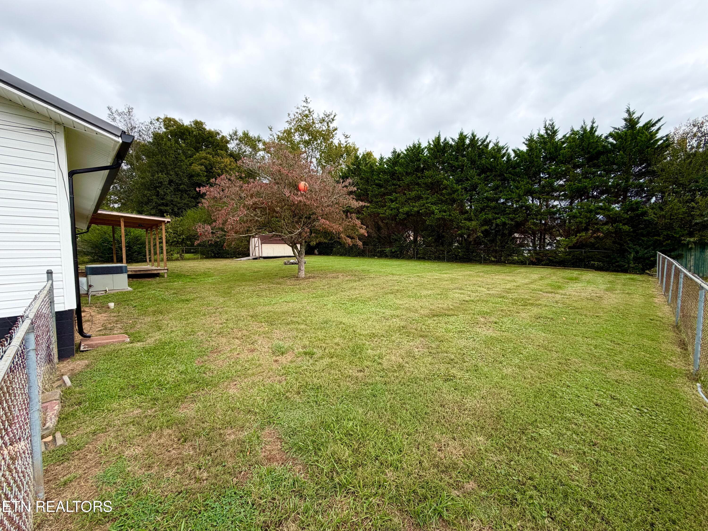 IMG_6861 - 151 Jaynes Rd, Tazewell, TN 37879