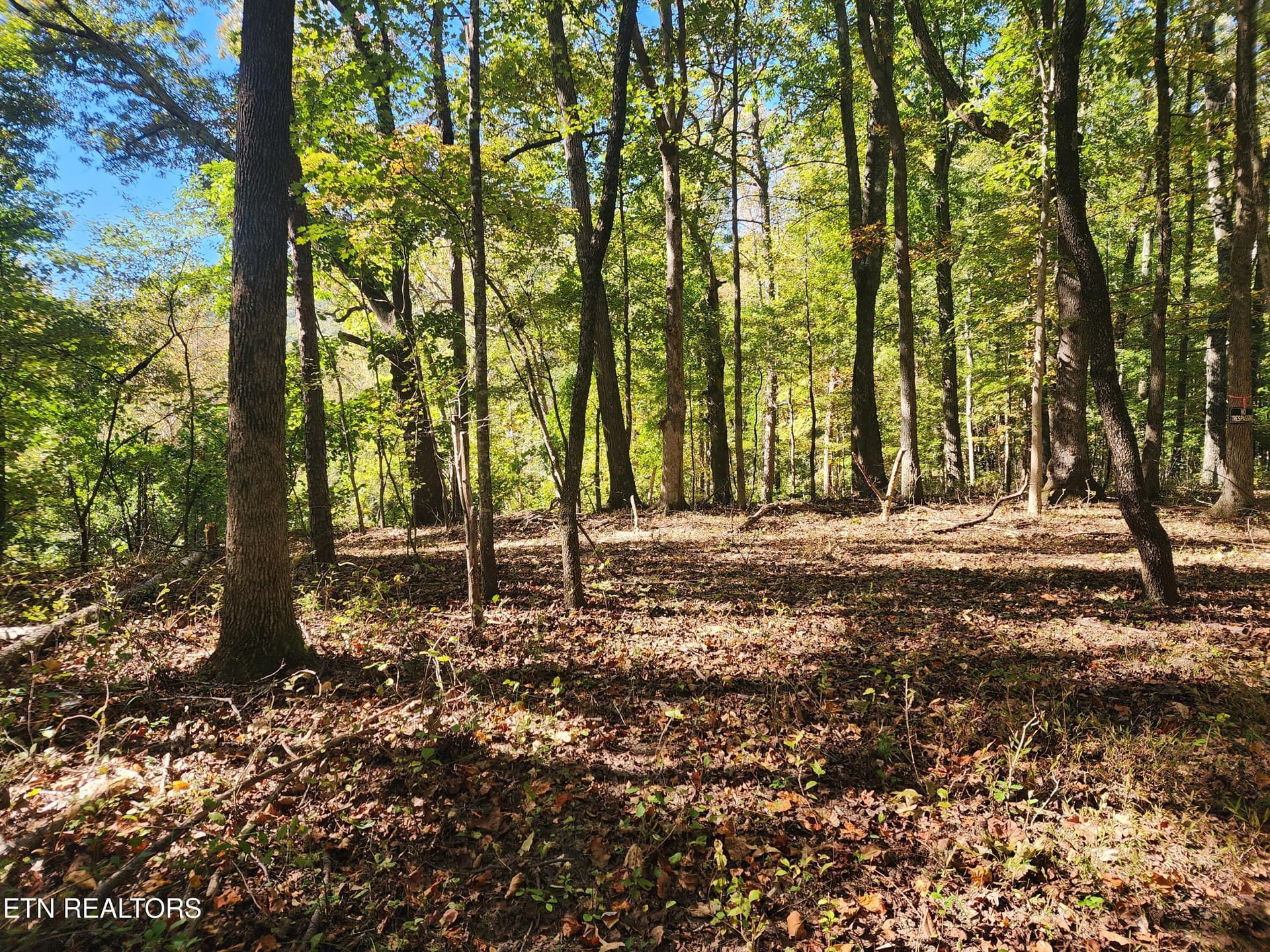 S Chamberlain Ave, Rockwood, TN 37854