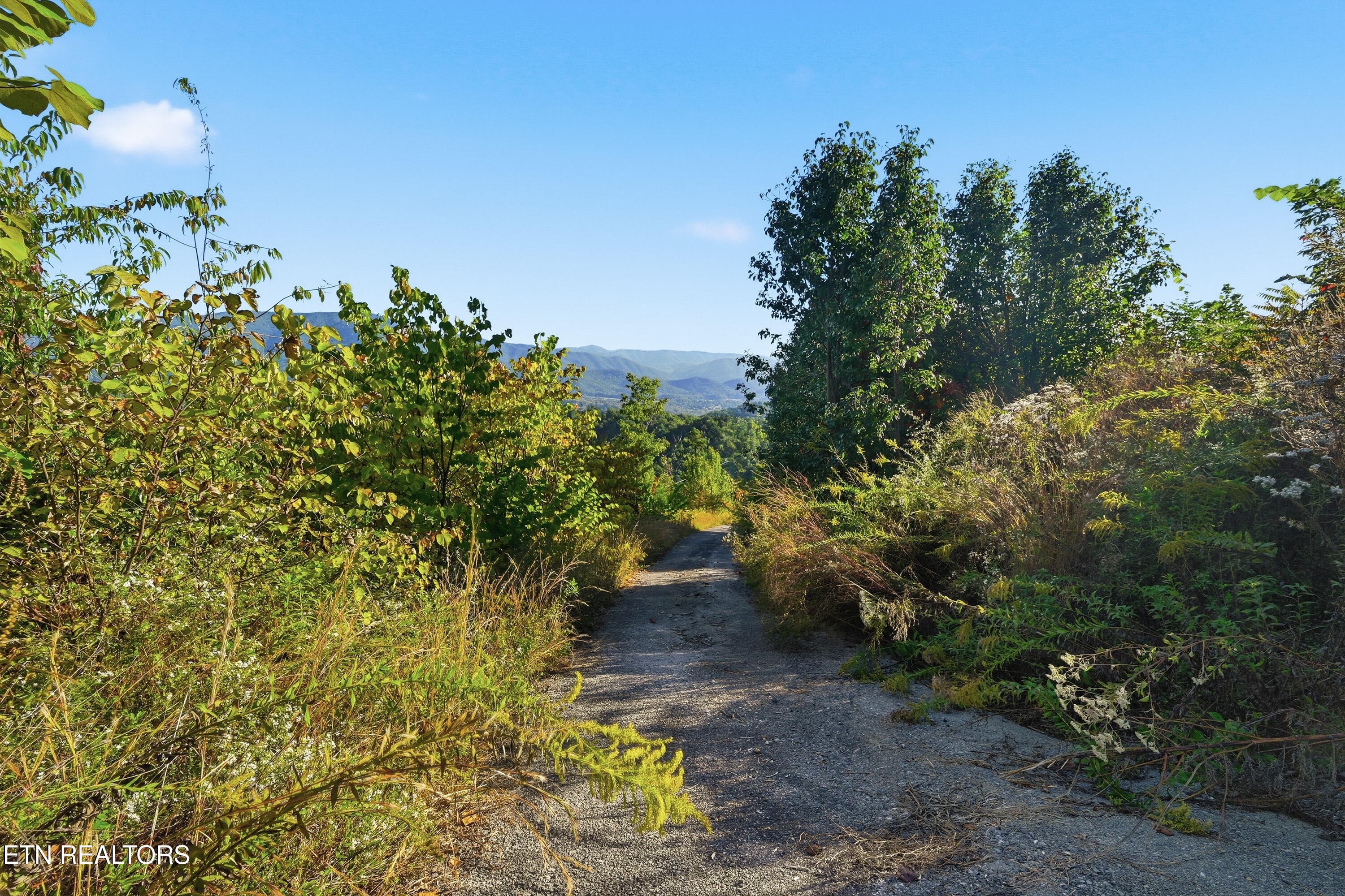 Driveway from top - 2602 Hatcher Mountain Rd, Sevierville, TN 37862