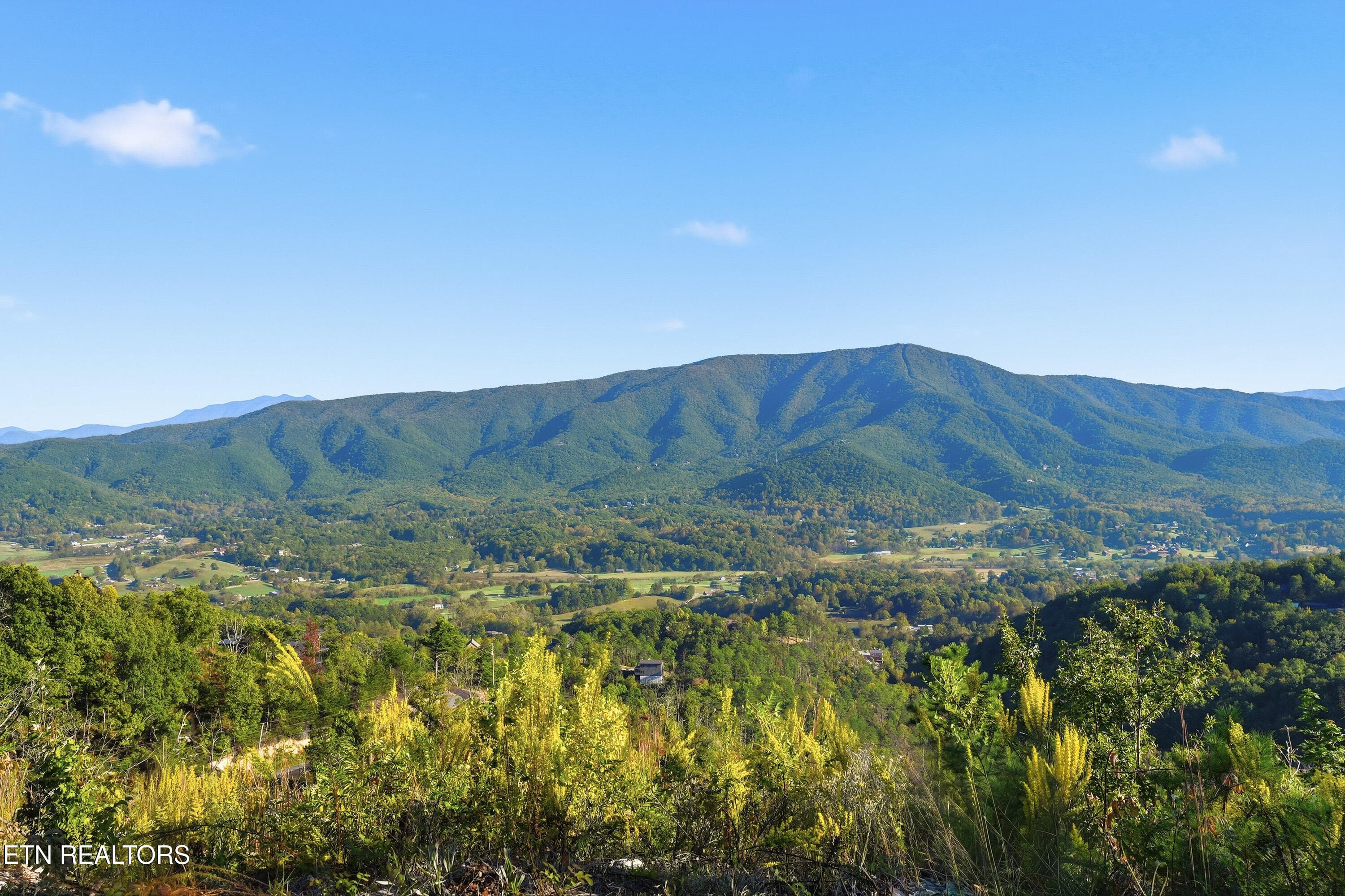 View from front - 2602 Hatcher Mountain Rd, Sevierville, TN 37862