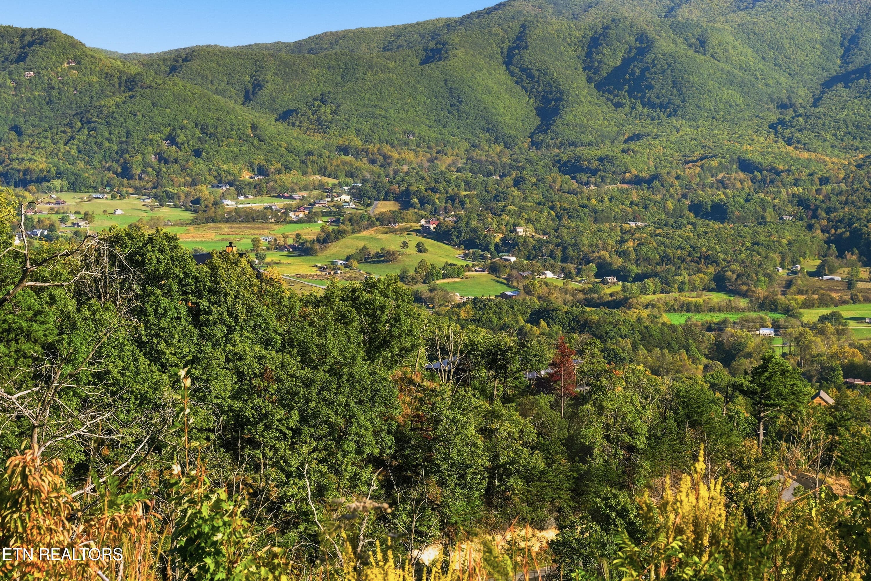 View looking from front - 2602 Hatcher Mountain Rd, Sevierville, TN 37862
