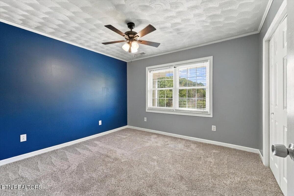 20-216 Ron Trent Rd 20 - 216 Ron Trent Rd, Sneedville, TN 37869