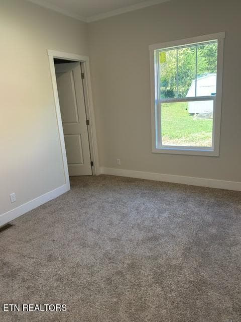 IMG_3484 - 502 N Kilgore St, Athens, TN 37303
