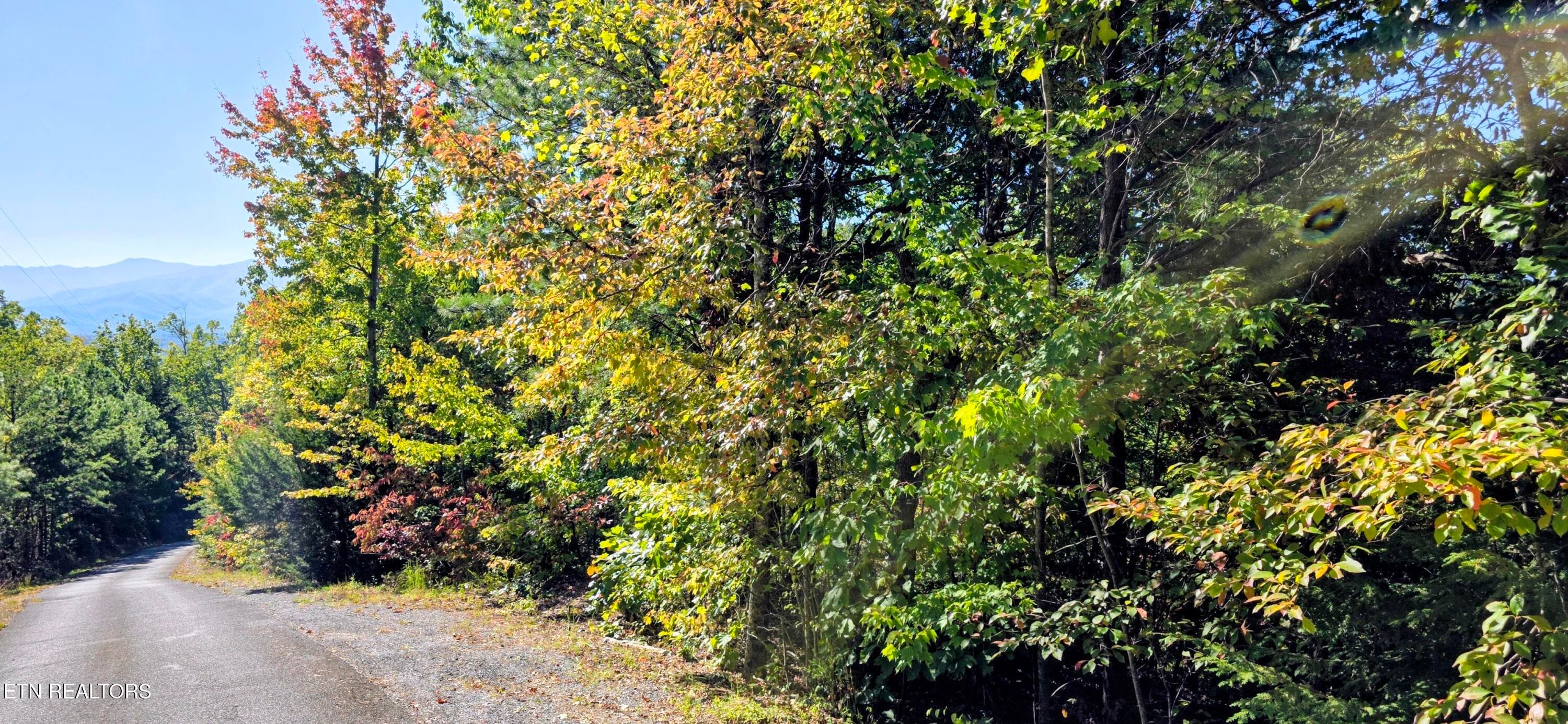 20261022_112129~2 - Lot 90 Mountain Blvd, Sevierville, TN 37876
