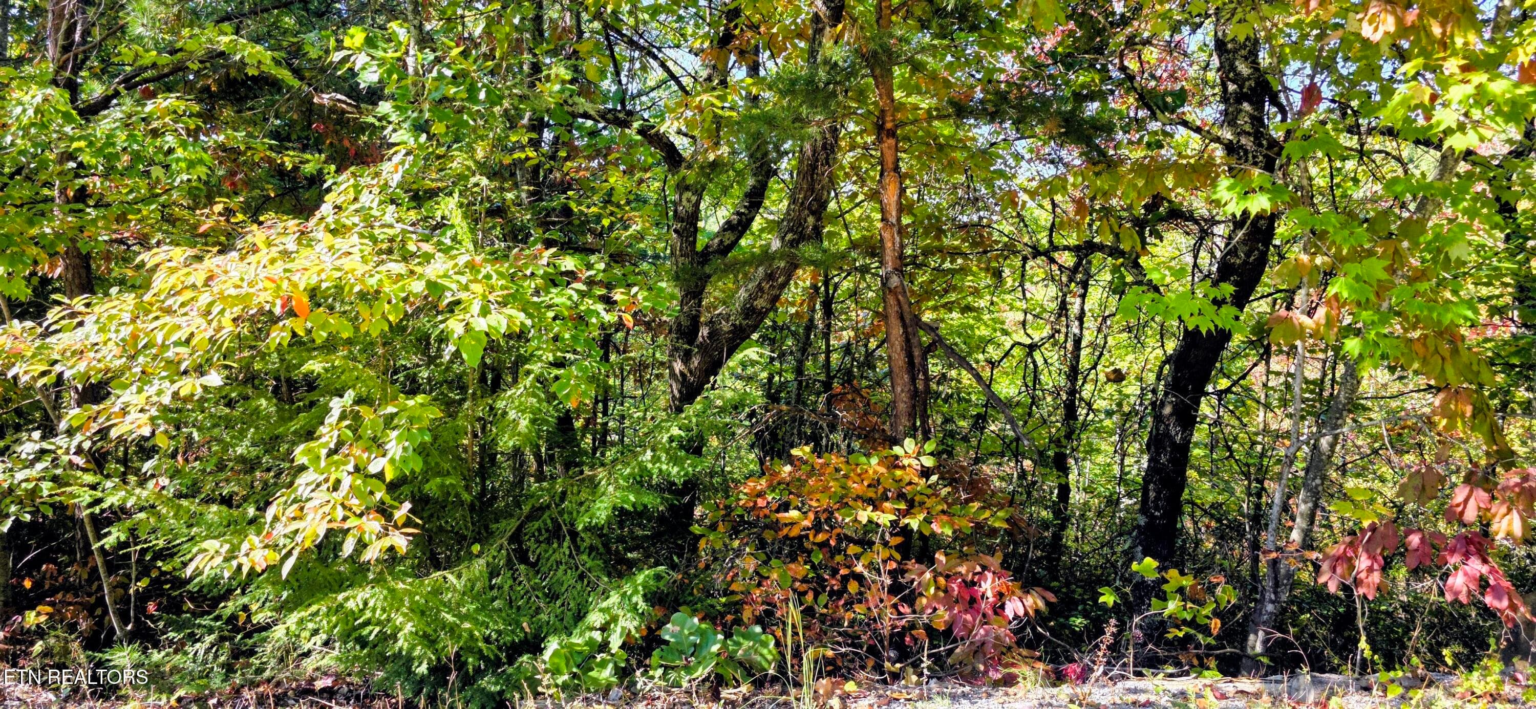 20261022_112025~2 - Lot 90 Mountain Blvd, Sevierville, TN 37876