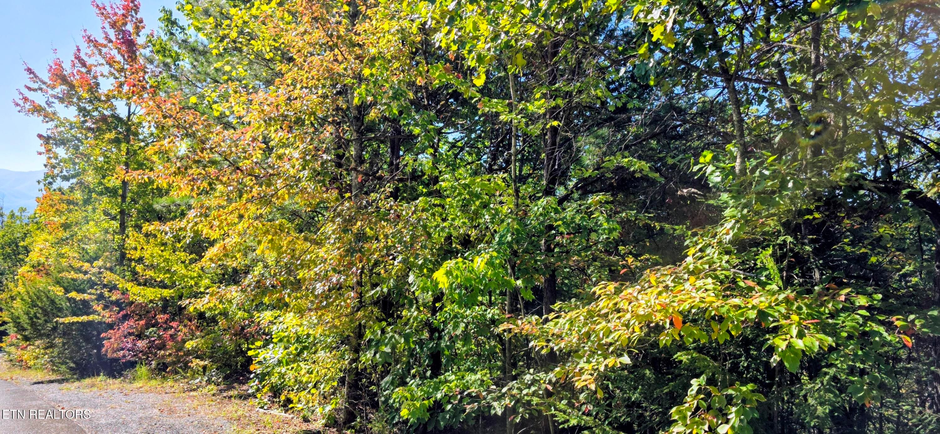 20261022_112021~2 - Lot 90 Mountain Blvd, Sevierville, TN 37876