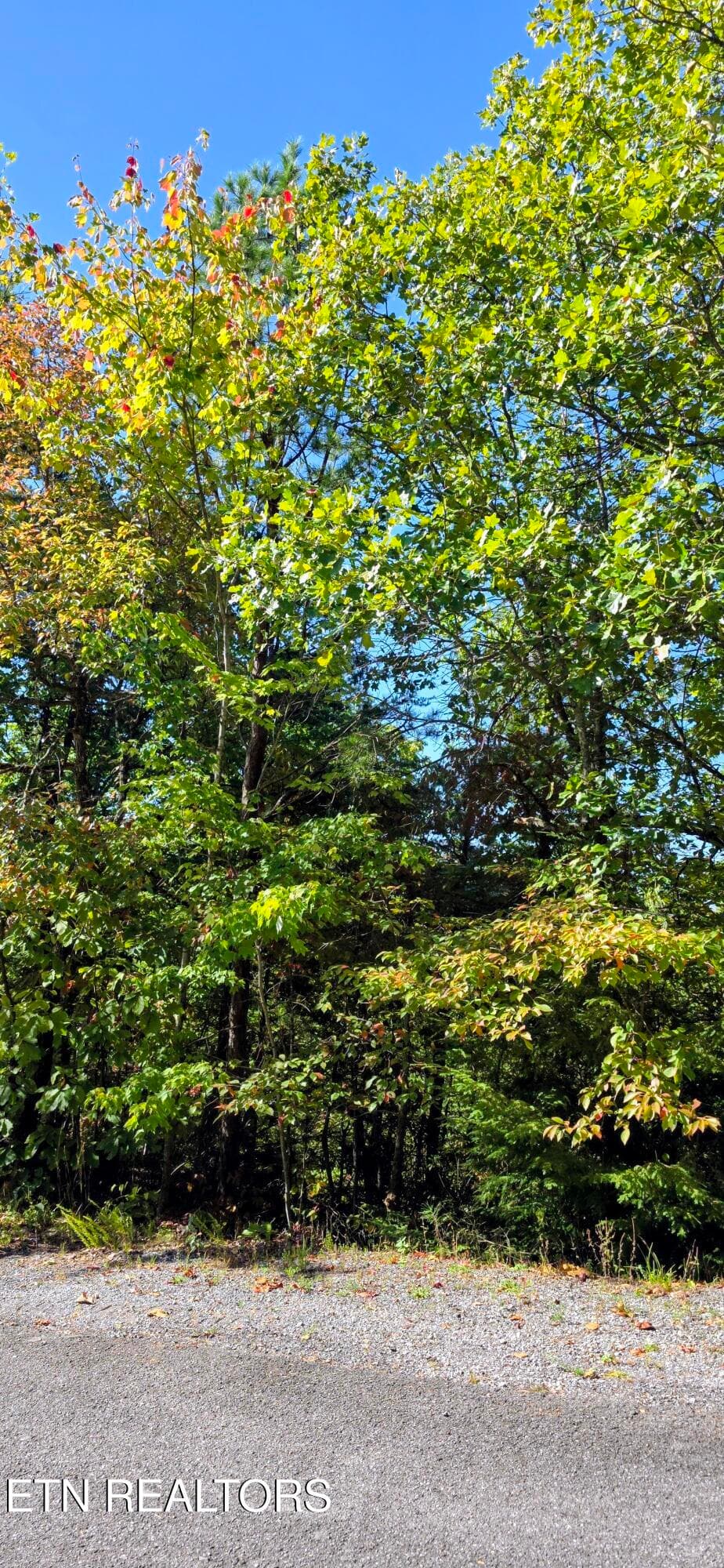 20261022_111944~2 - Lot 90 Mountain Blvd, Sevierville, TN 37876
