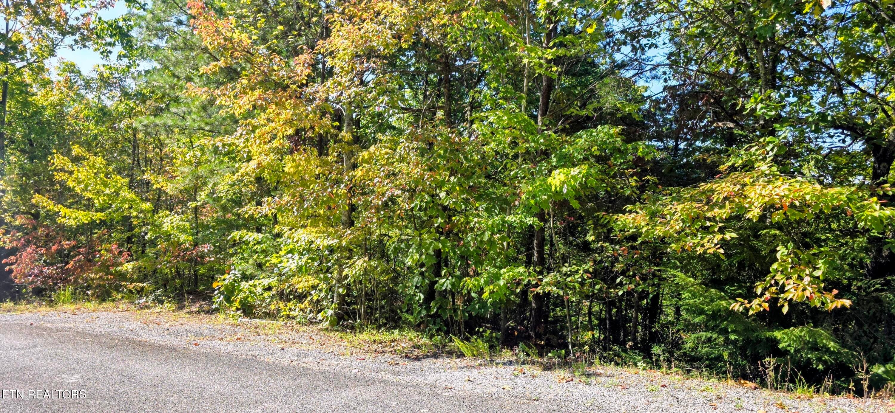 20261022_111939~2 - Lot 90 Mountain Blvd, Sevierville, TN 37876