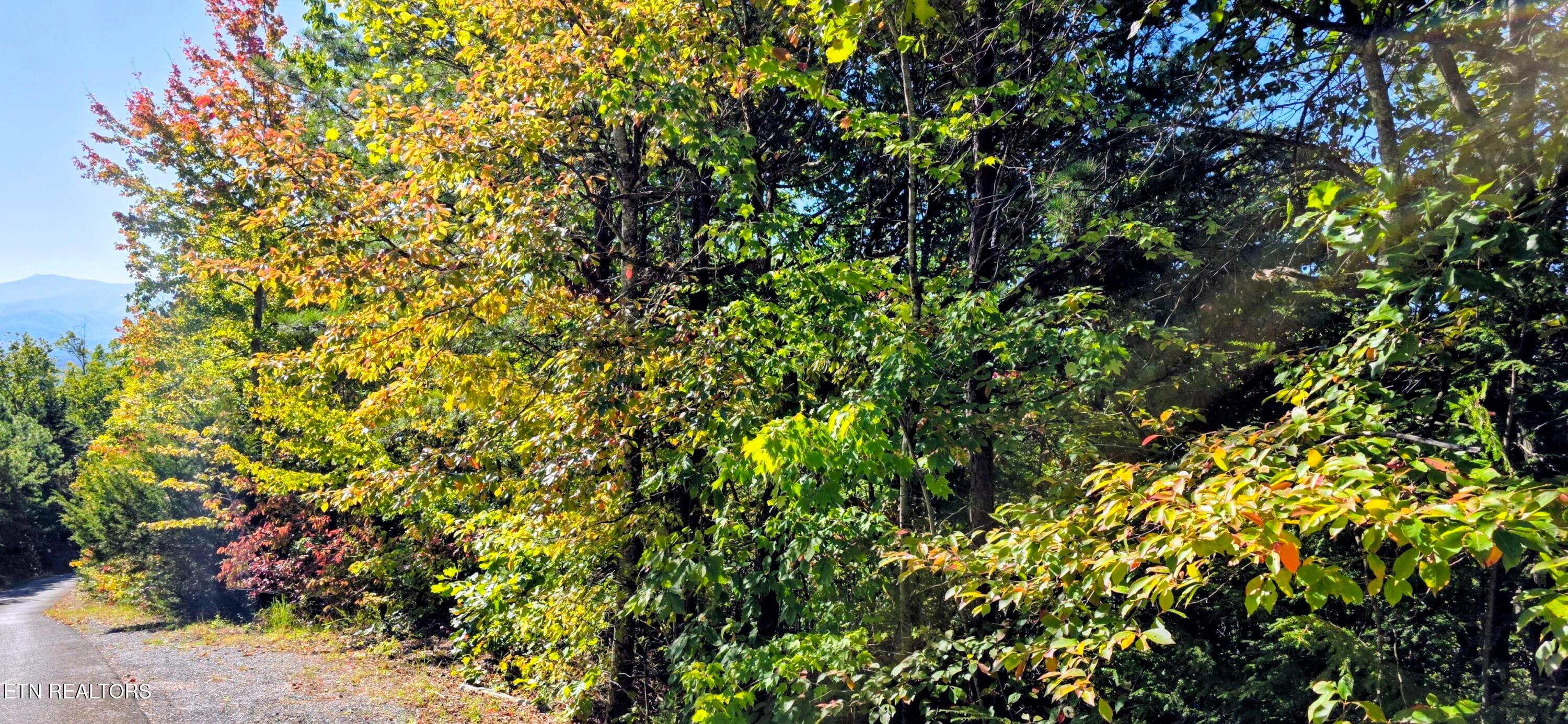 20261022_111926~2 - Lot 90 Mountain Blvd, Sevierville, TN 37876