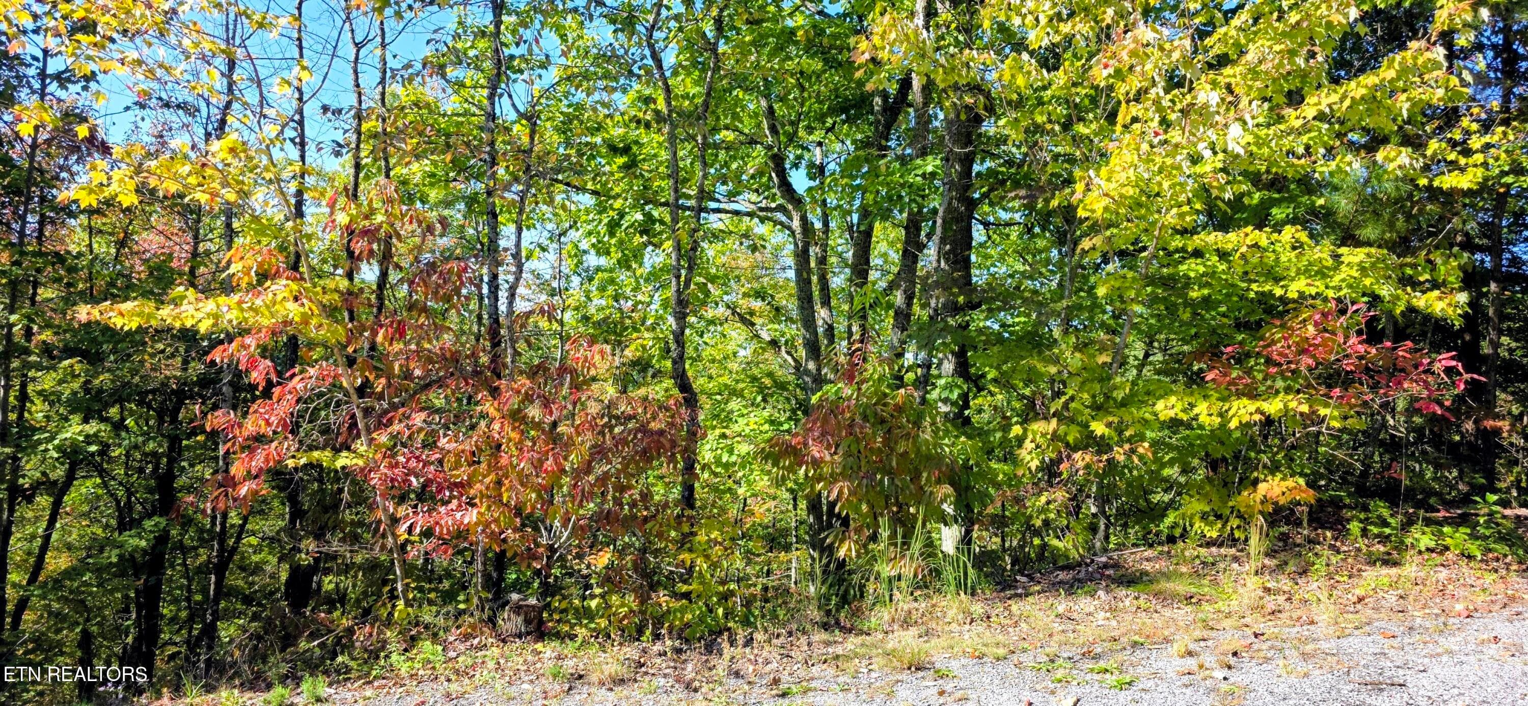 20261022_111843~2 - Lot 90 Mountain Blvd, Sevierville, TN 37876