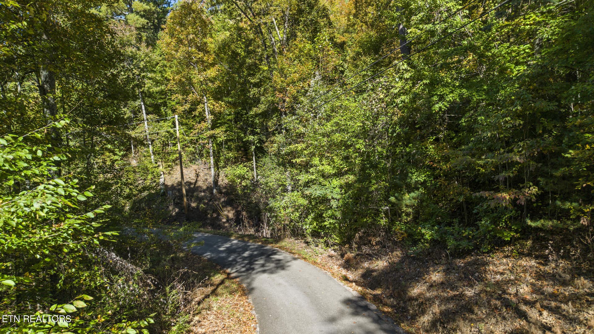 dji_20261020125639_0702_d - S King Branch Rd, Sevierville, TN 37876