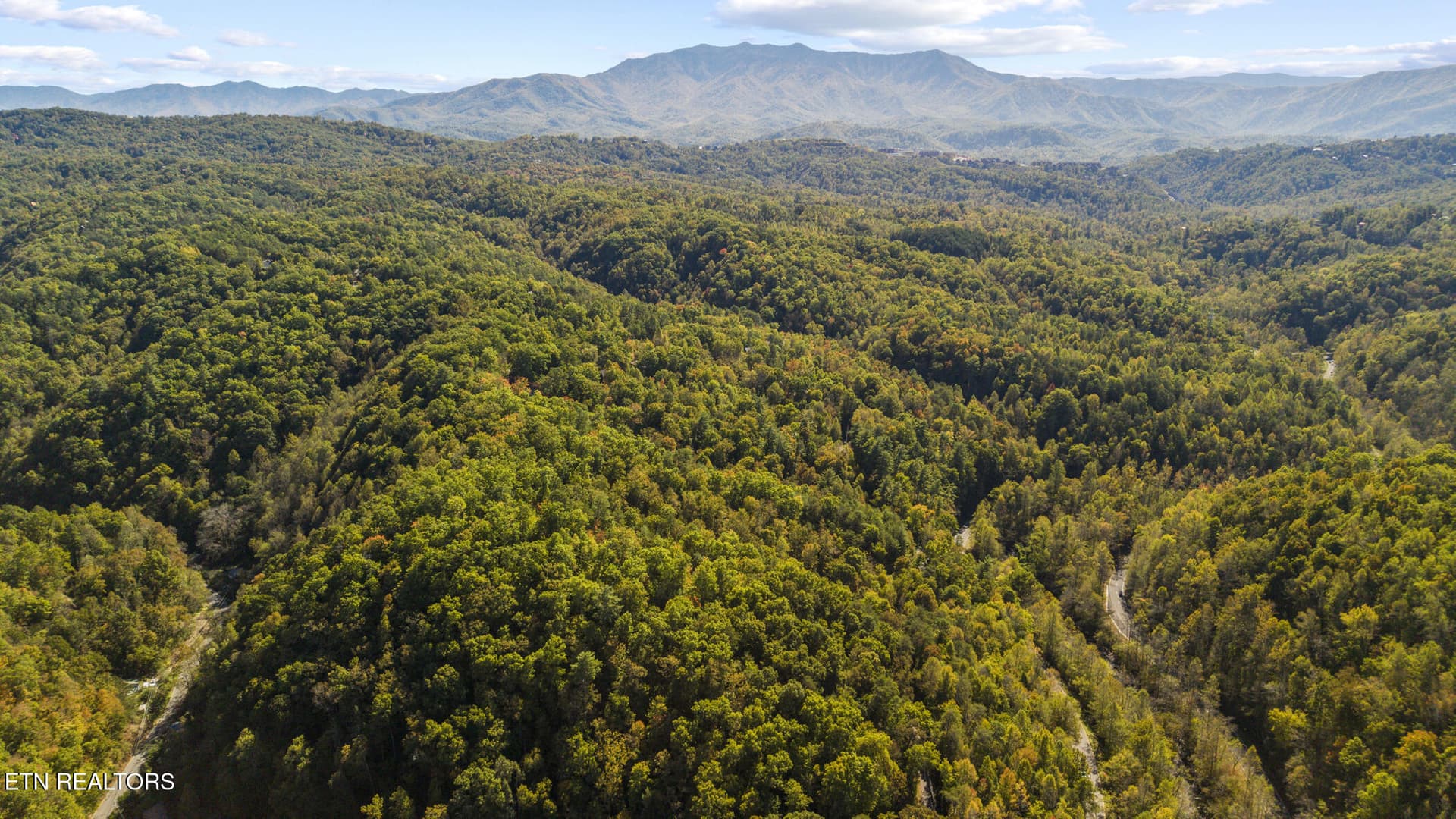 dji_20261020130123_0718_d - S King Branch Rd, Sevierville, TN 37876