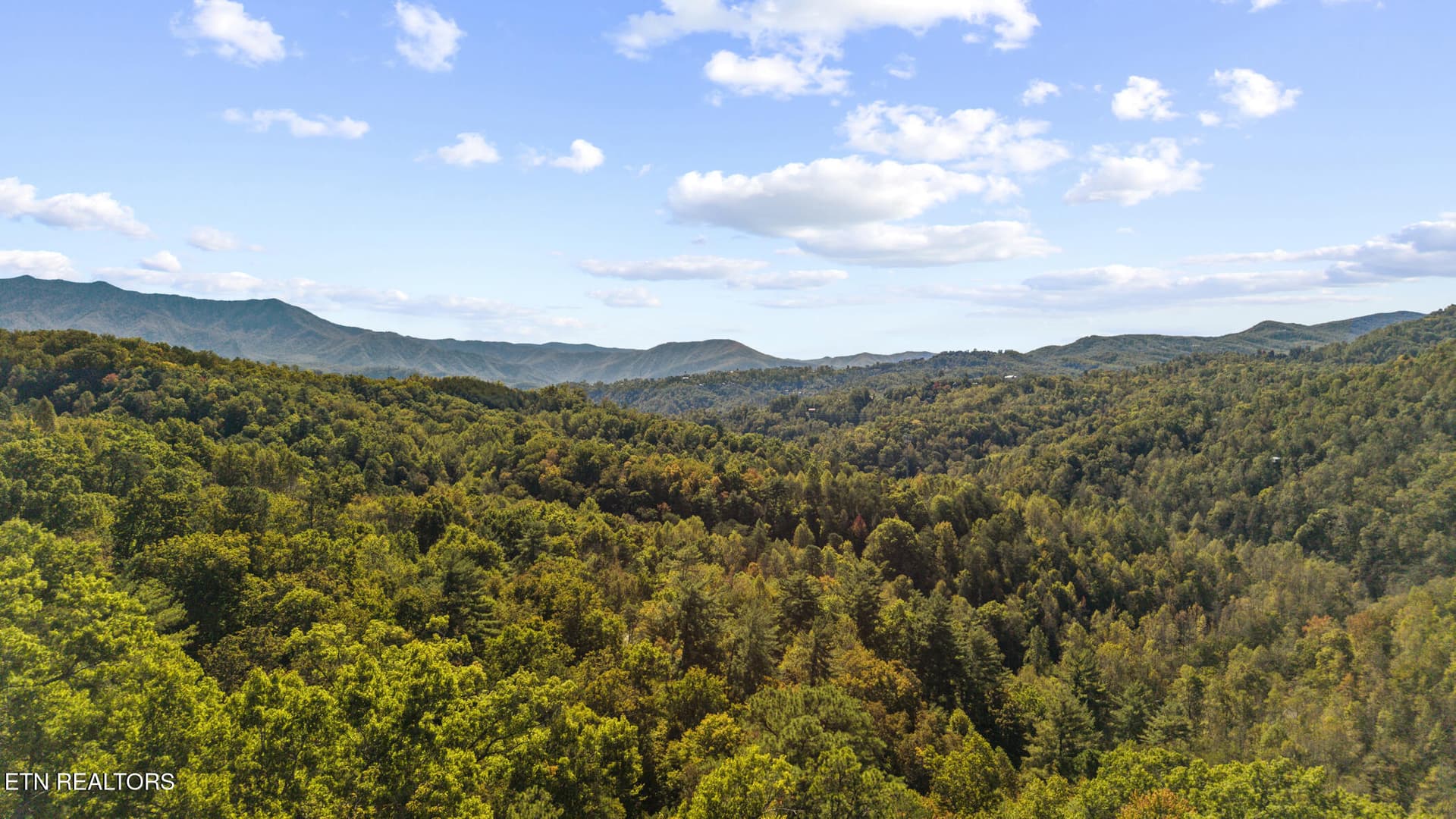 dji_20261020130635_0740_d - S King Branch Rd, Sevierville, TN 37876