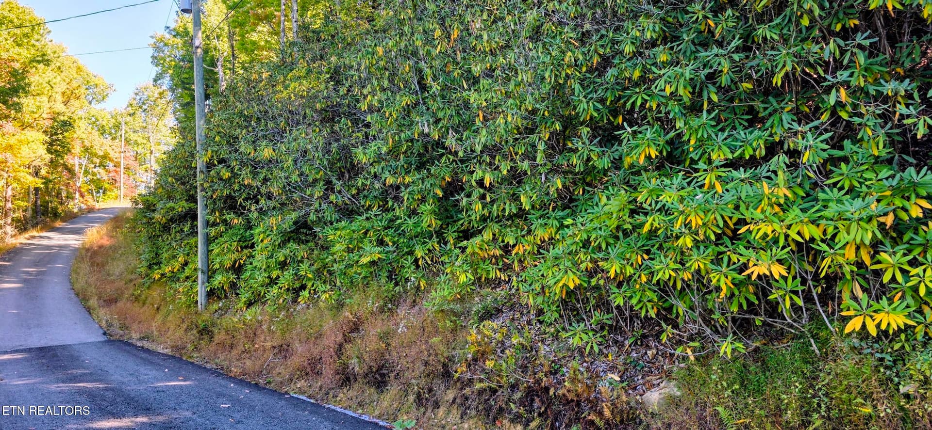 Lot 13 Overholt Tr, Sevierville, TN 37862