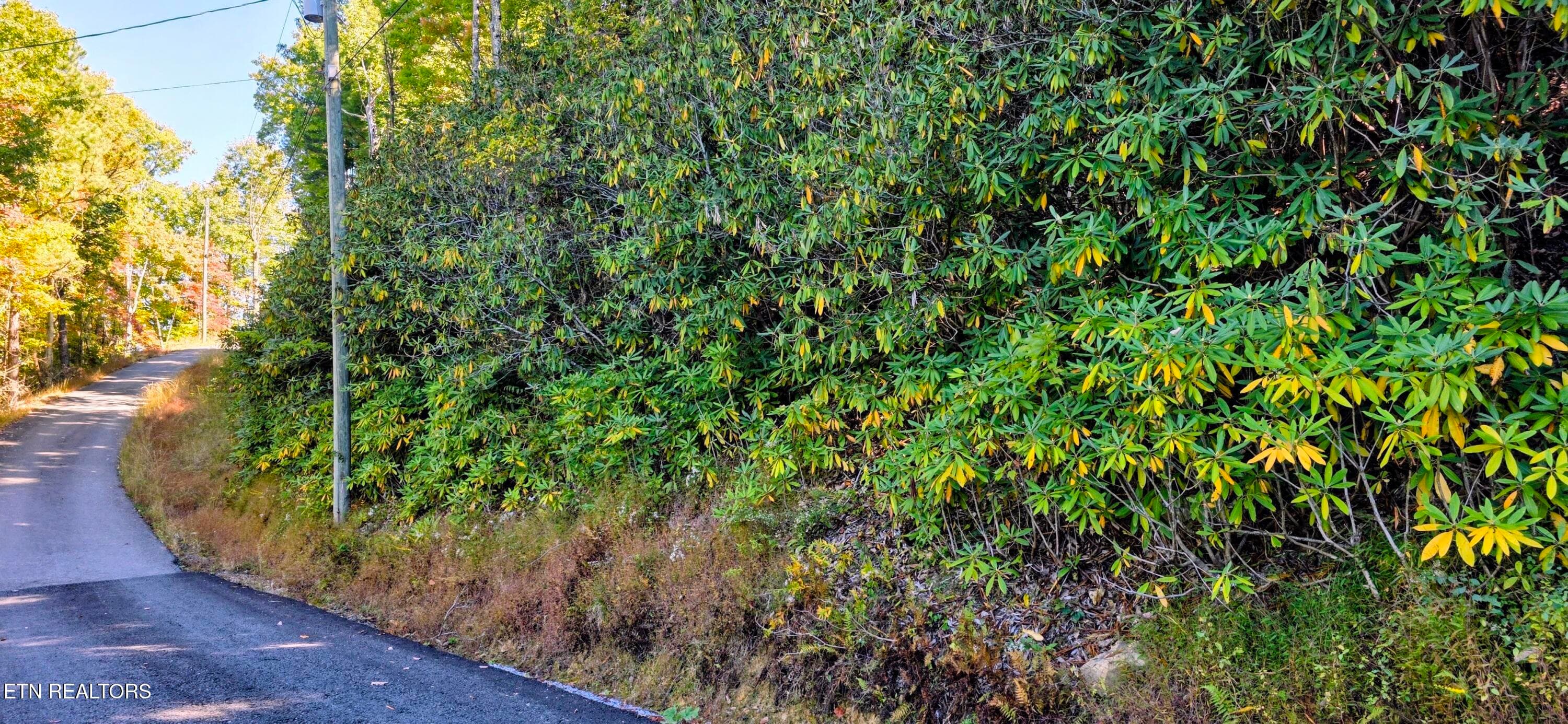 Lot 13 Overholt Tr, Sevierville, TN 37862